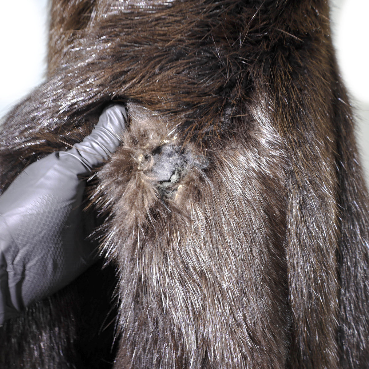 Beaver Jacket- Size XL