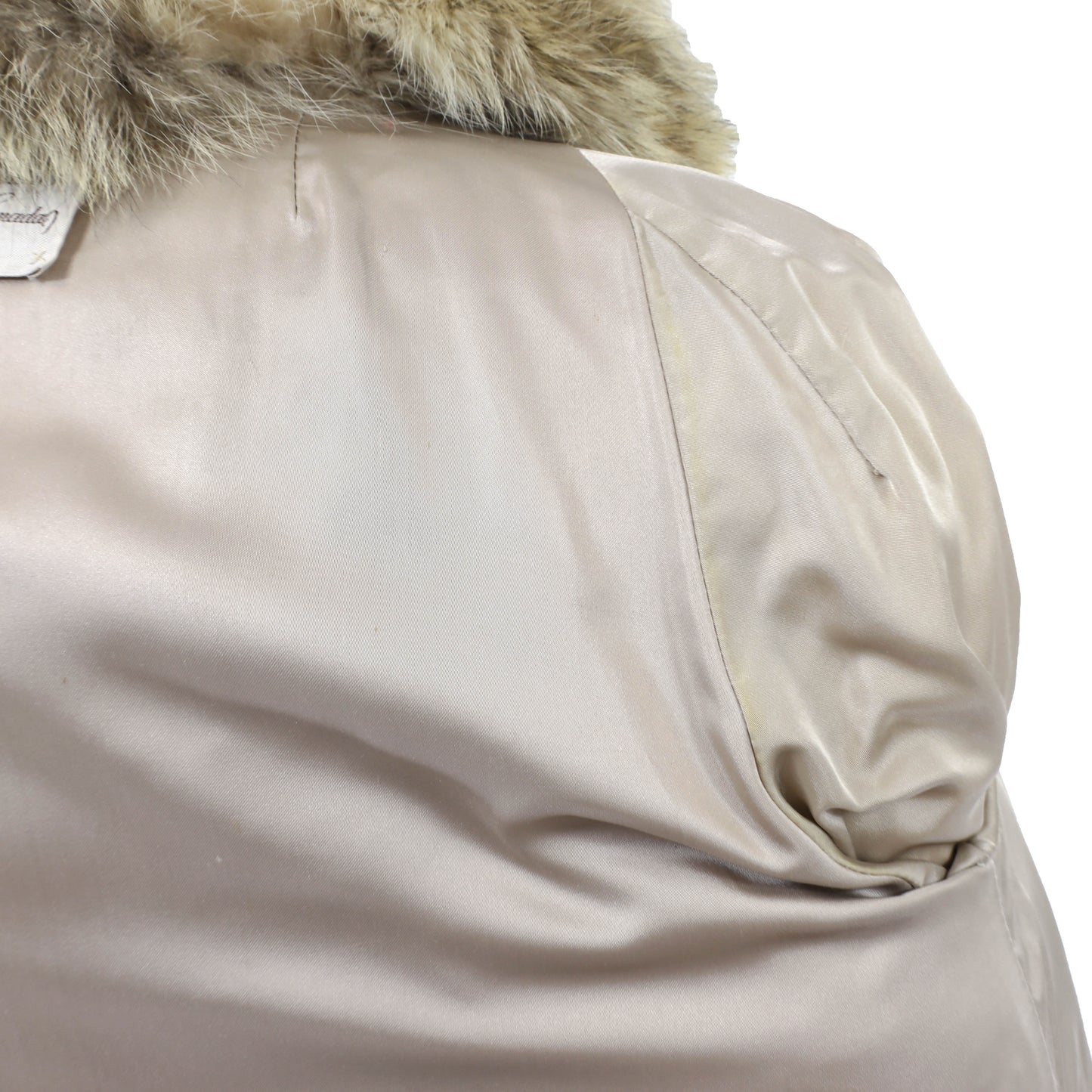 Coyote Stroller- Size S