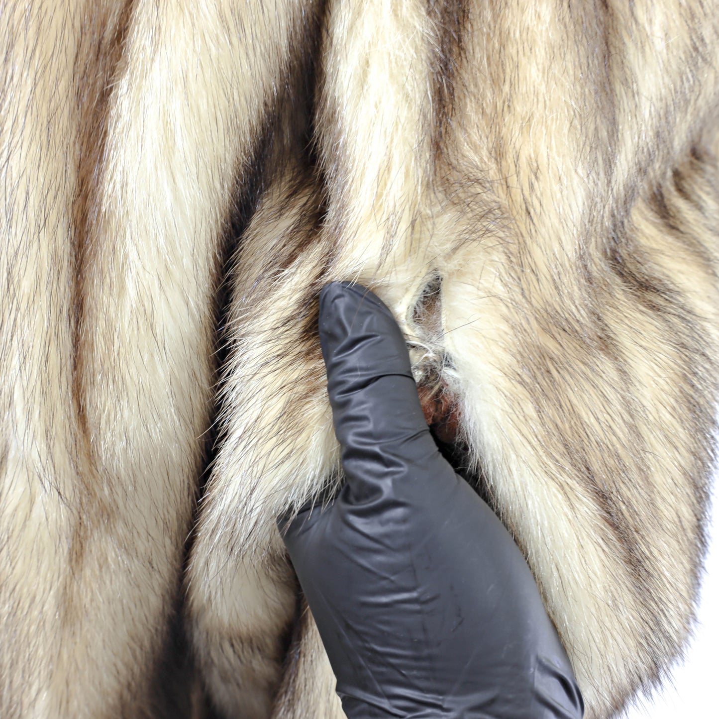 Fitch 3/4 Coat- Size L