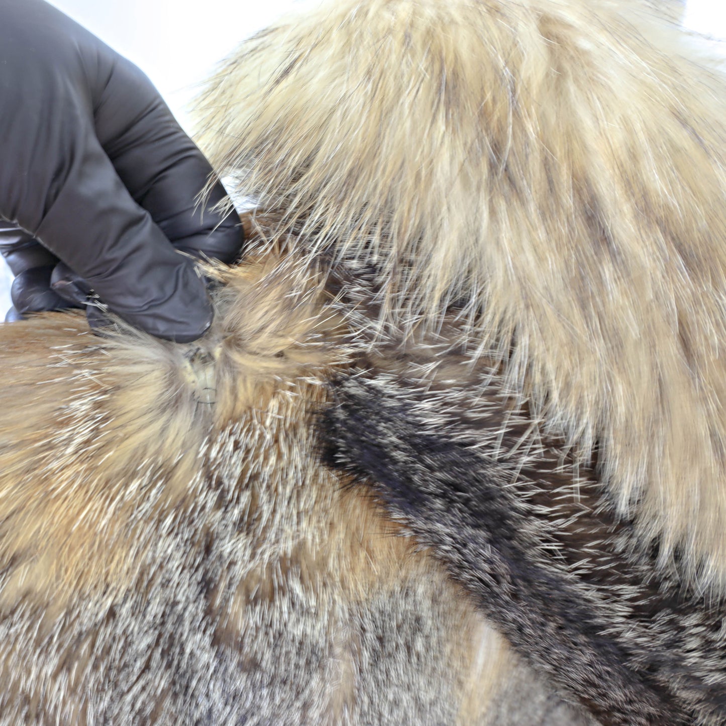 Desert Fox Jacket- Size S