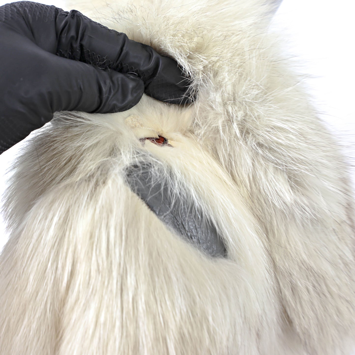 Fox and Leather Jacket- Size S