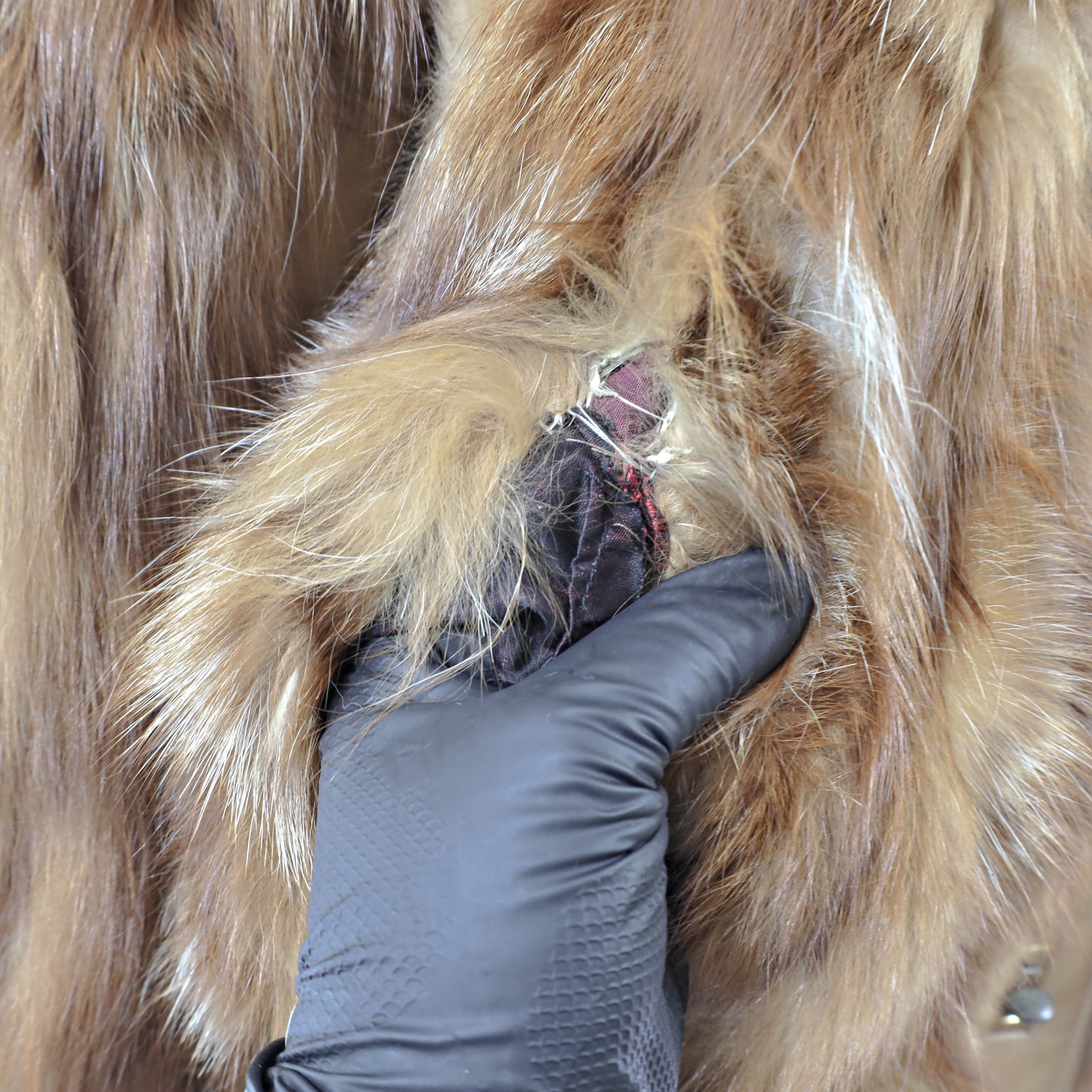 Section Red Fox Jacket- Size M