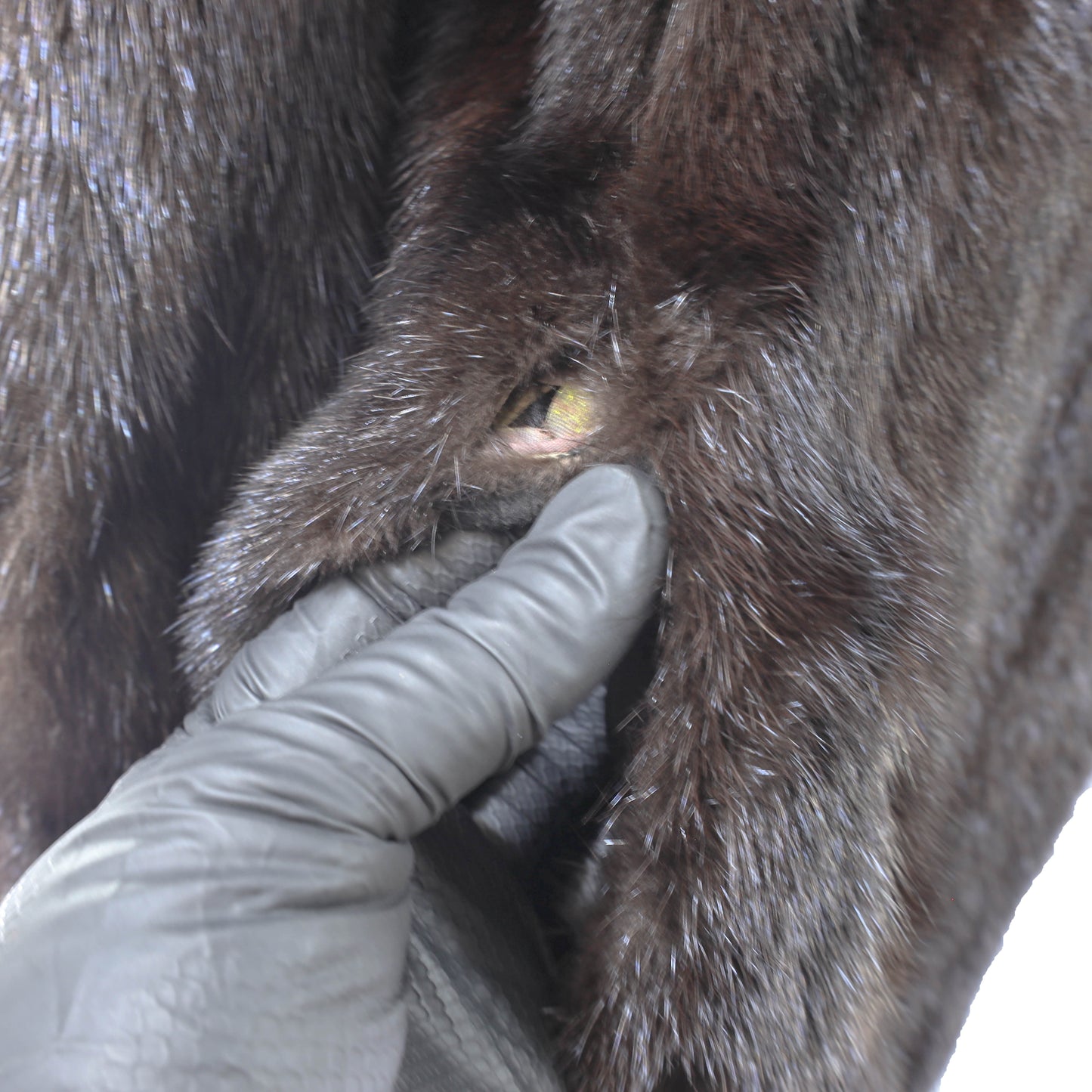 Black Mink Coat- Size S