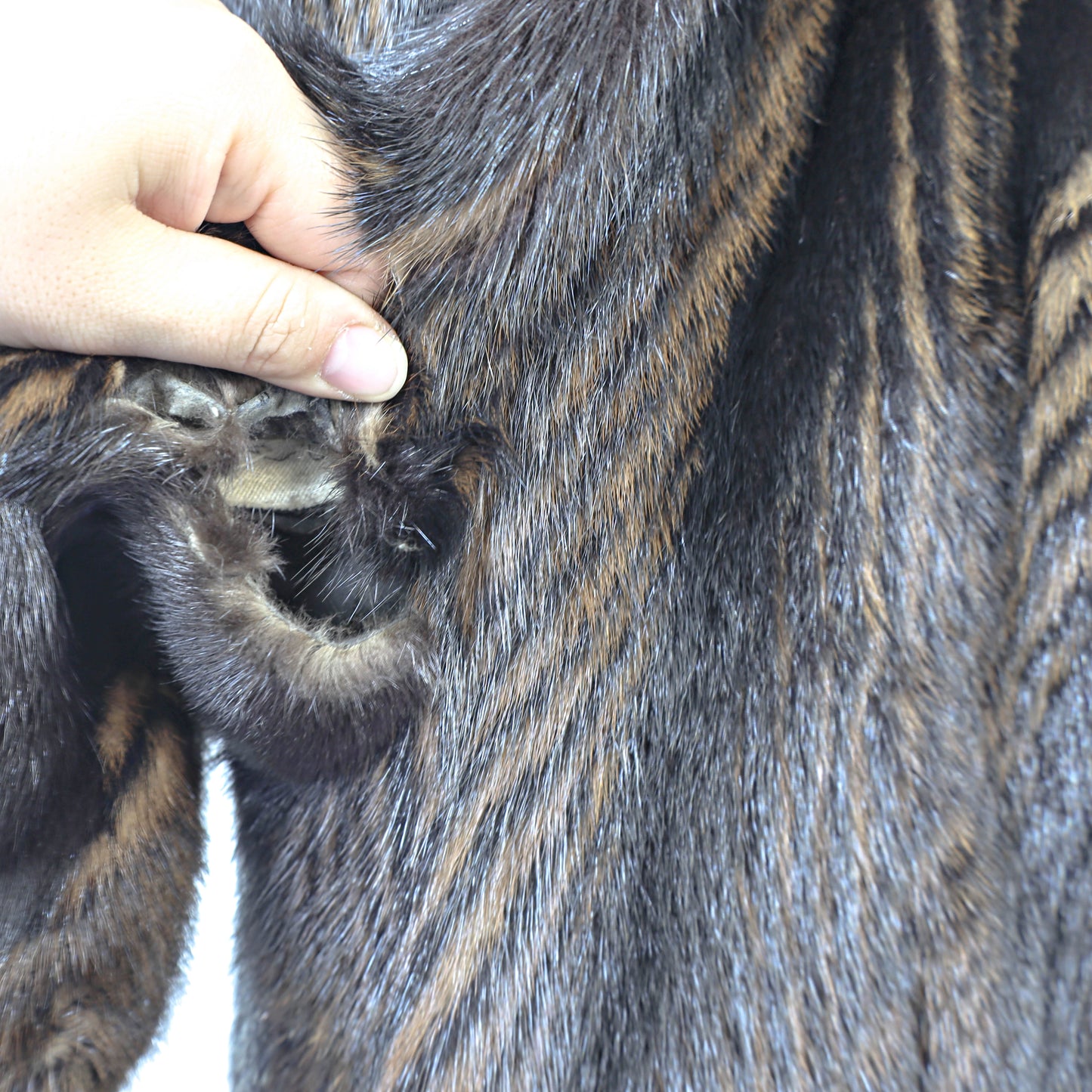 Black Mink Coat- Size M