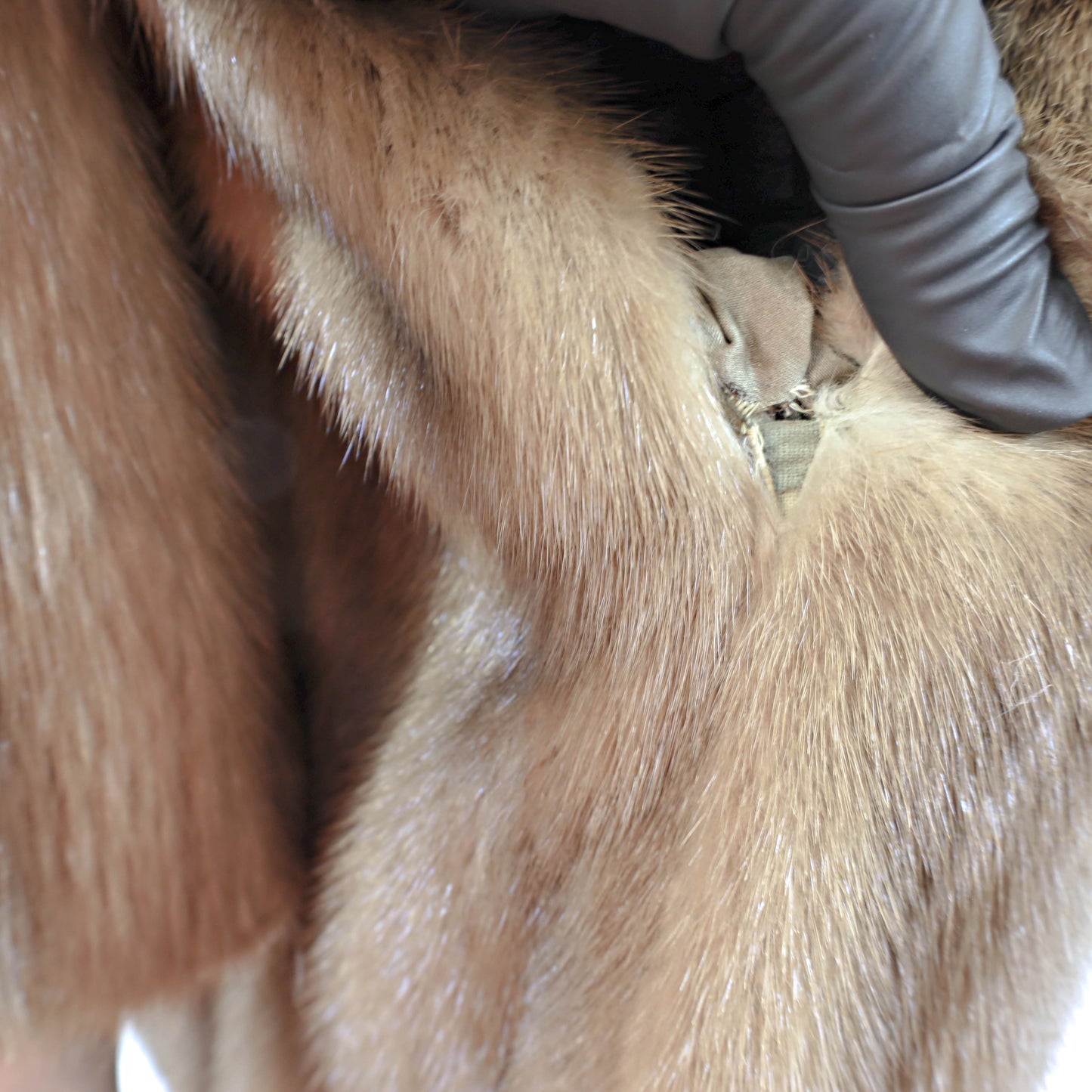 Light Brown Mink Stroller- Size XL