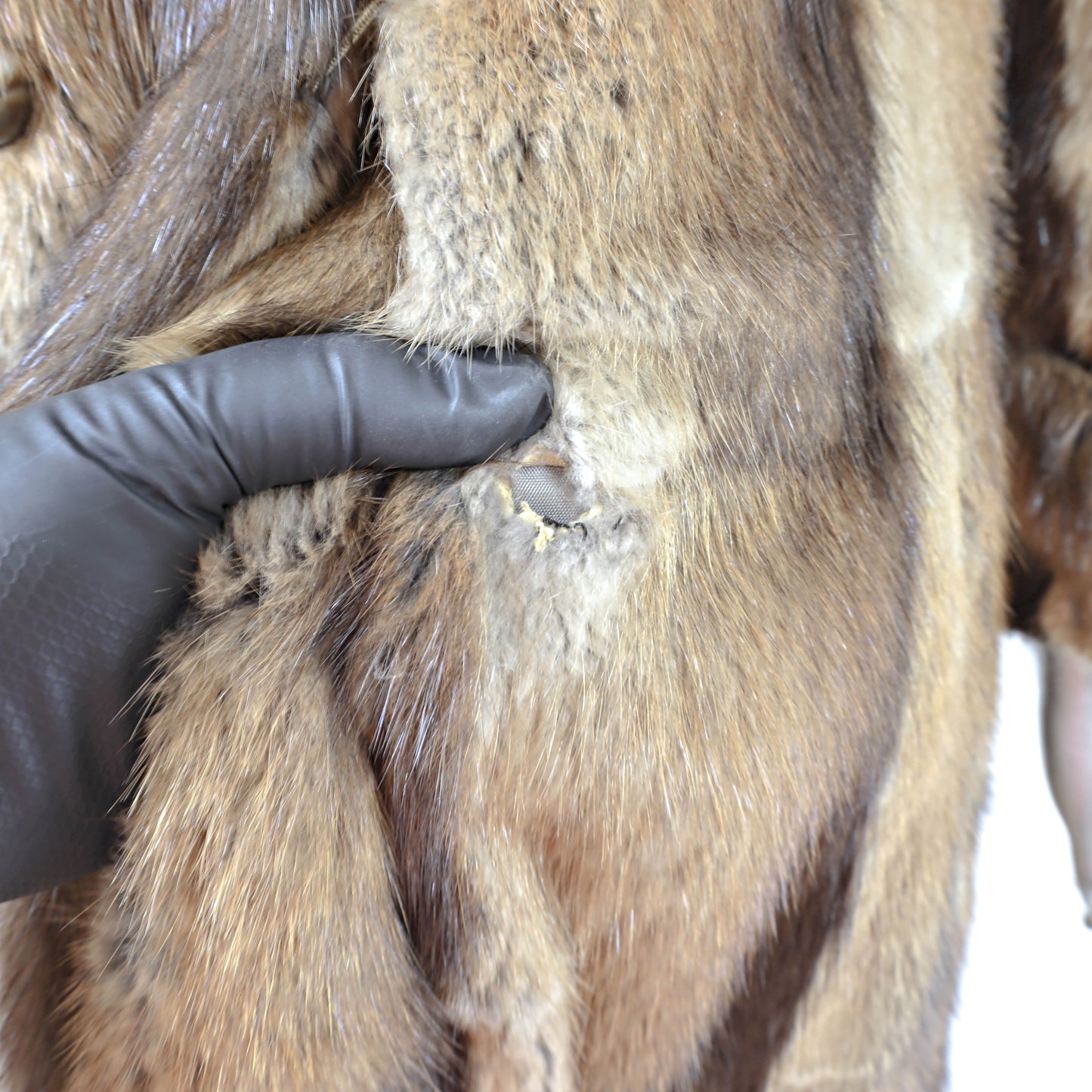 Muskrat Coat- Size S