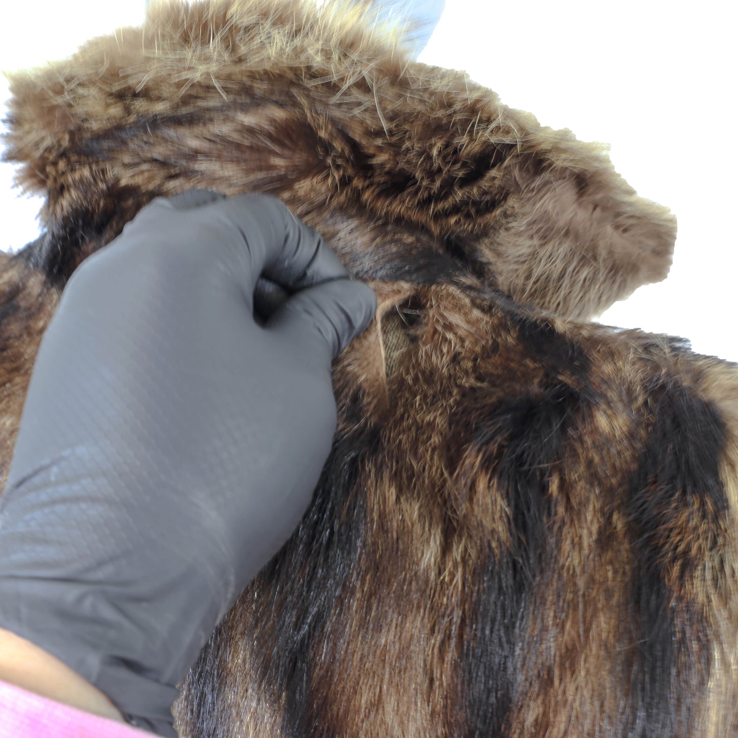 Raccoon Coat- Size XL