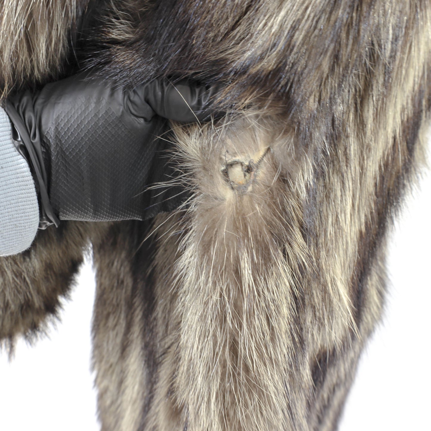 Raccoon Coat- Size L