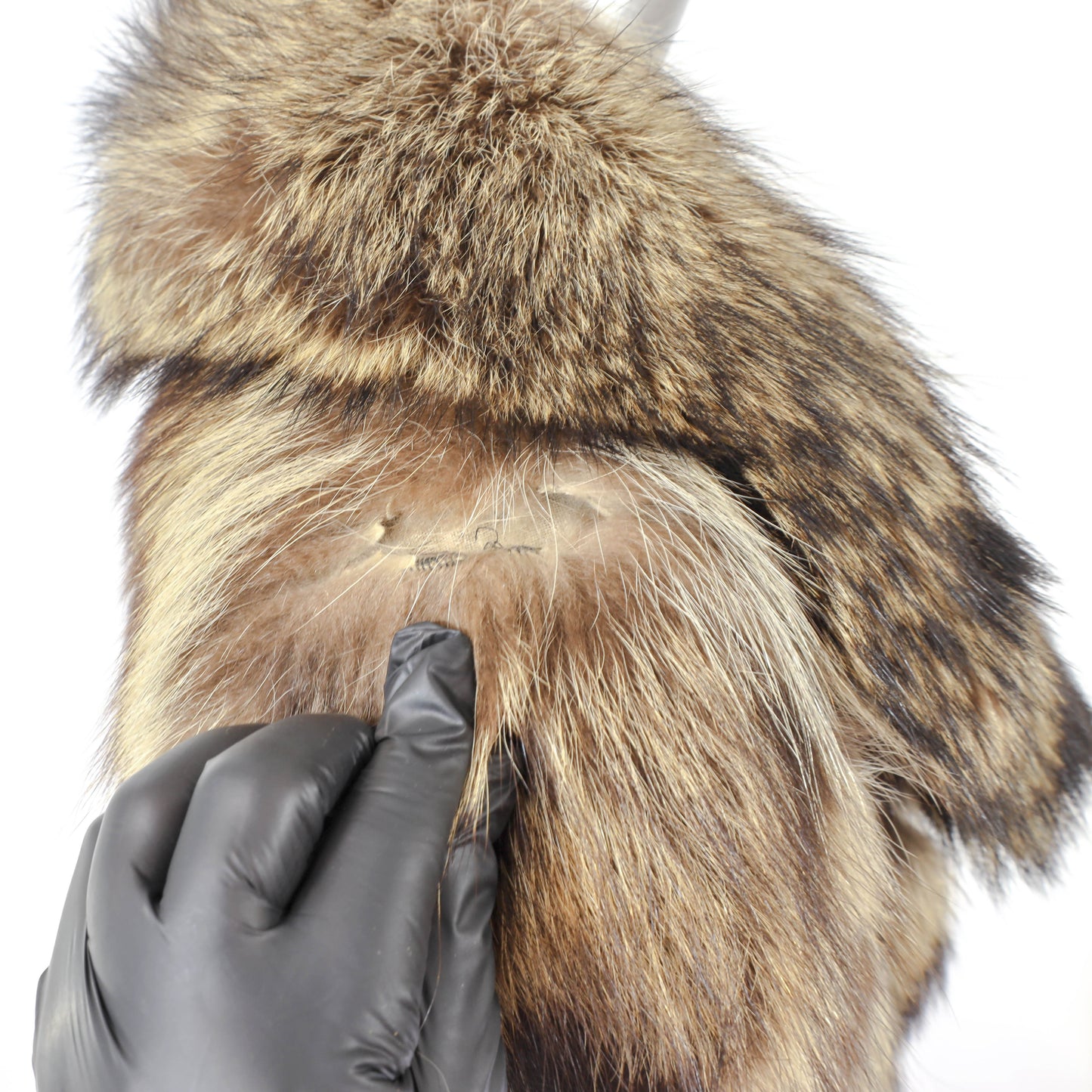 Raccoon Coat with Leather- Size S