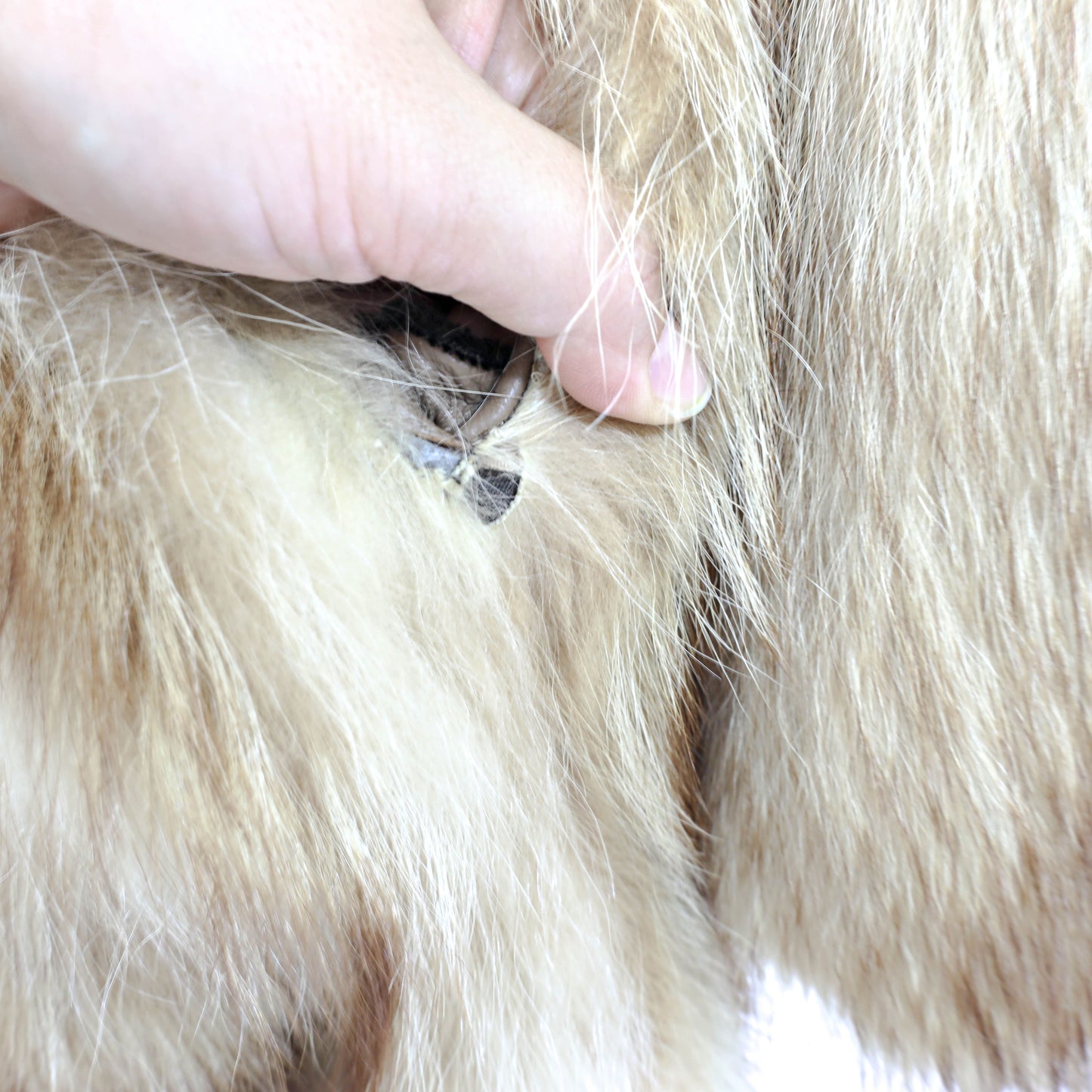 Raccoon Coat- Size M
