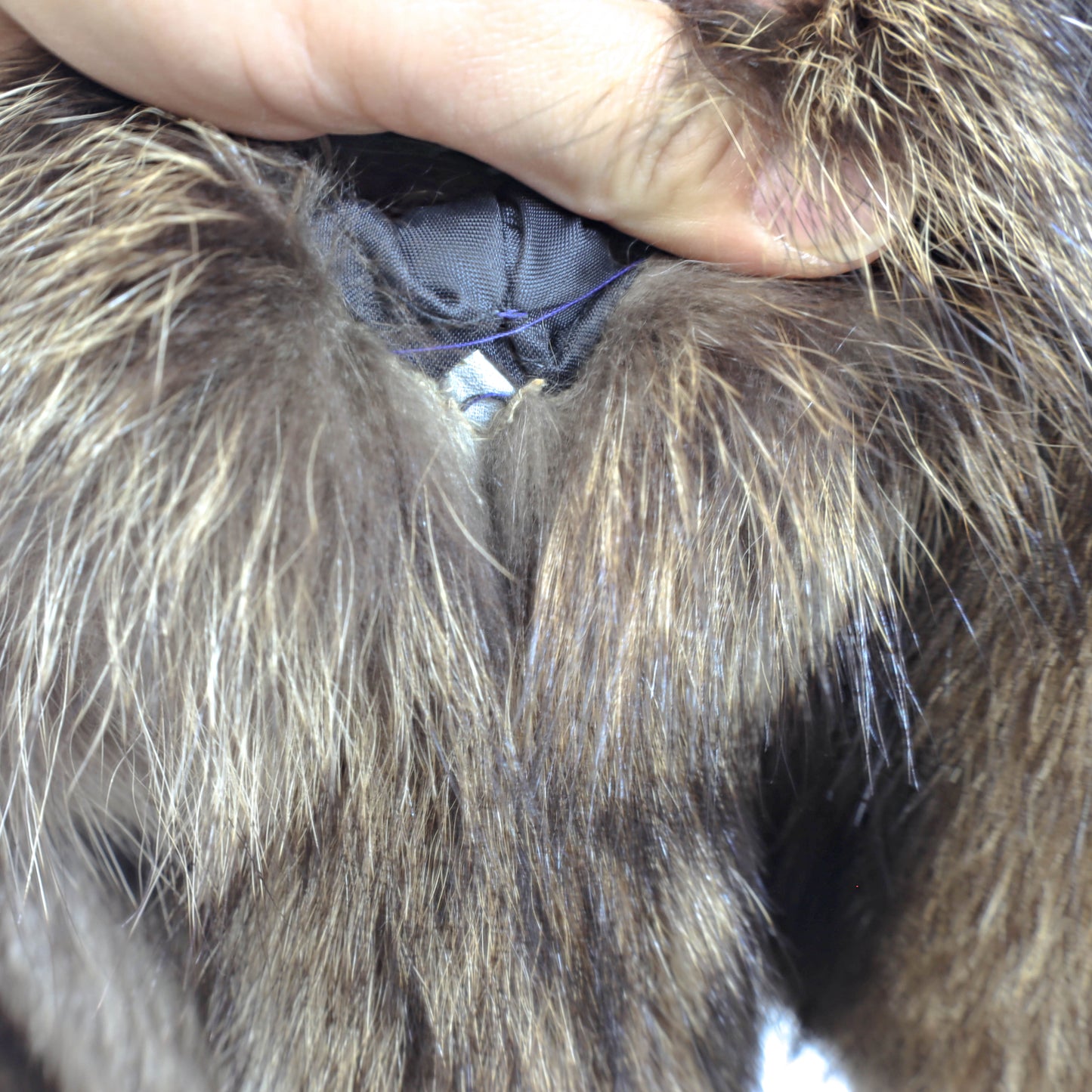 Raccoon Coat- Size S