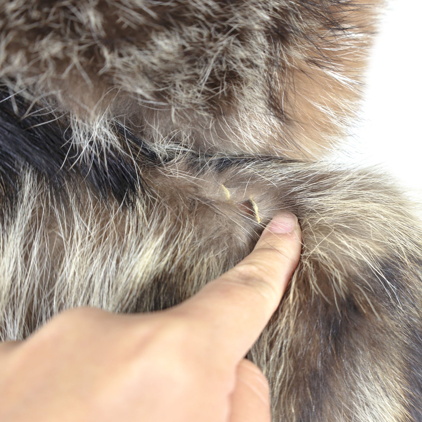 Raccoon Stroller with Detachable Hood and Fox Trim- Size S