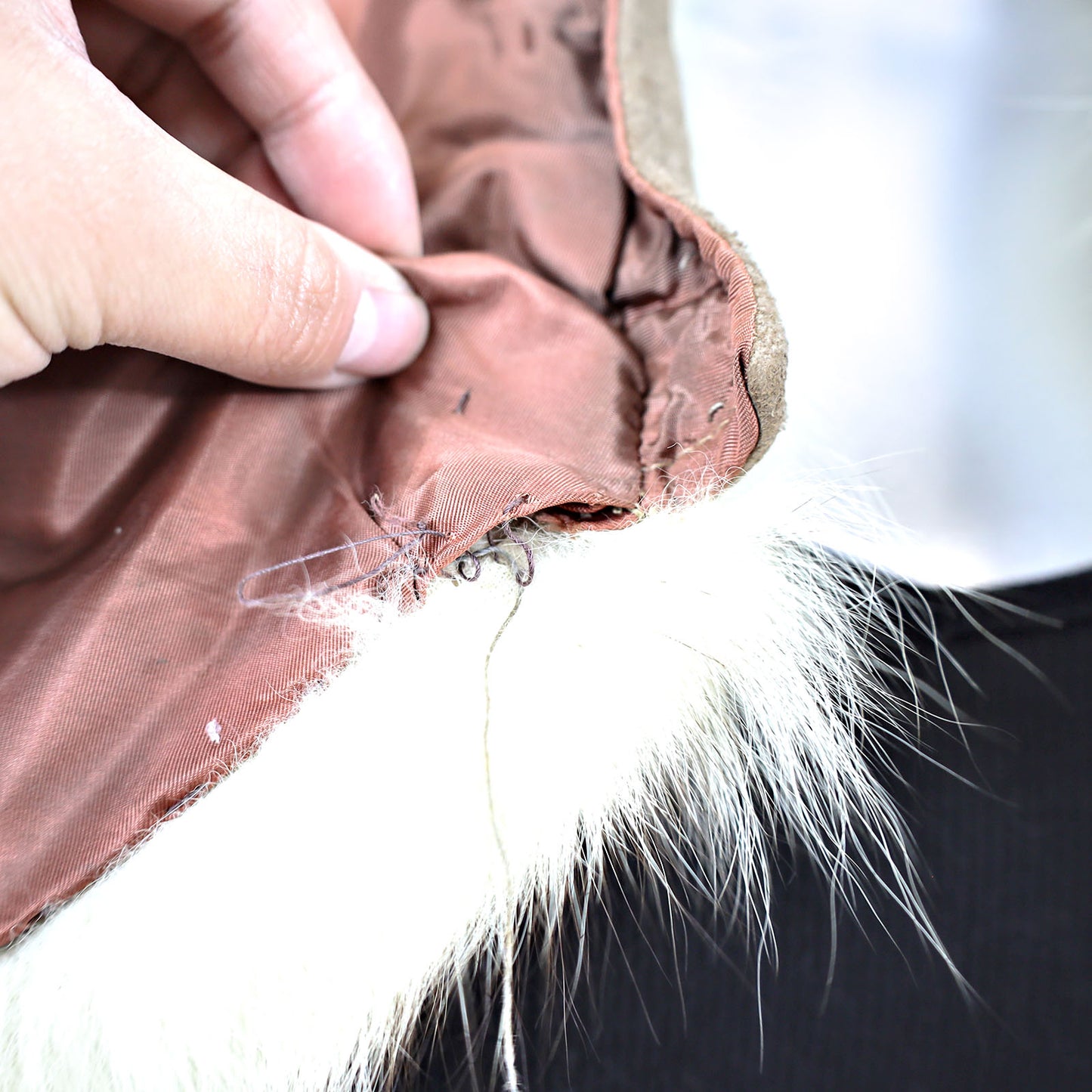 Fox Collar- Free Size