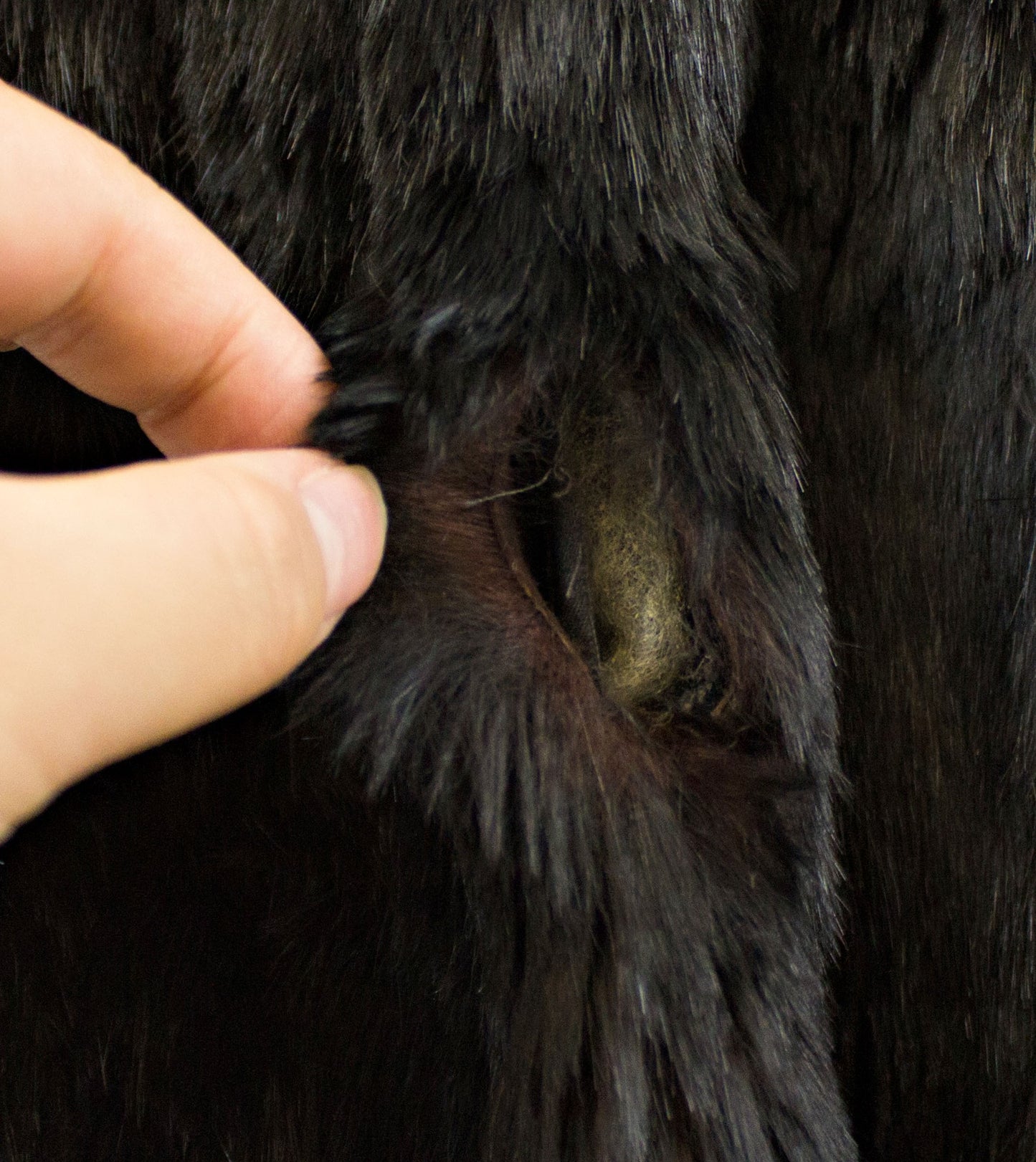 Dark Brown Mink Fur Jacket- Size M