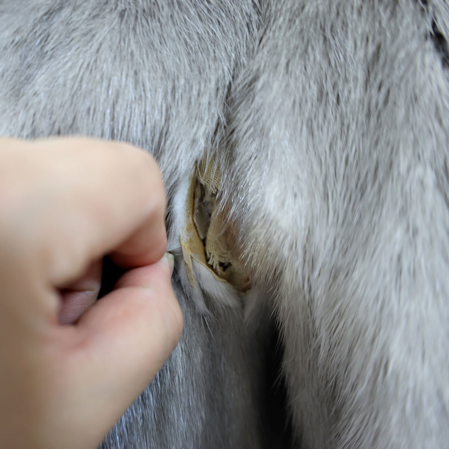 Grey Mink Jacket- Size M