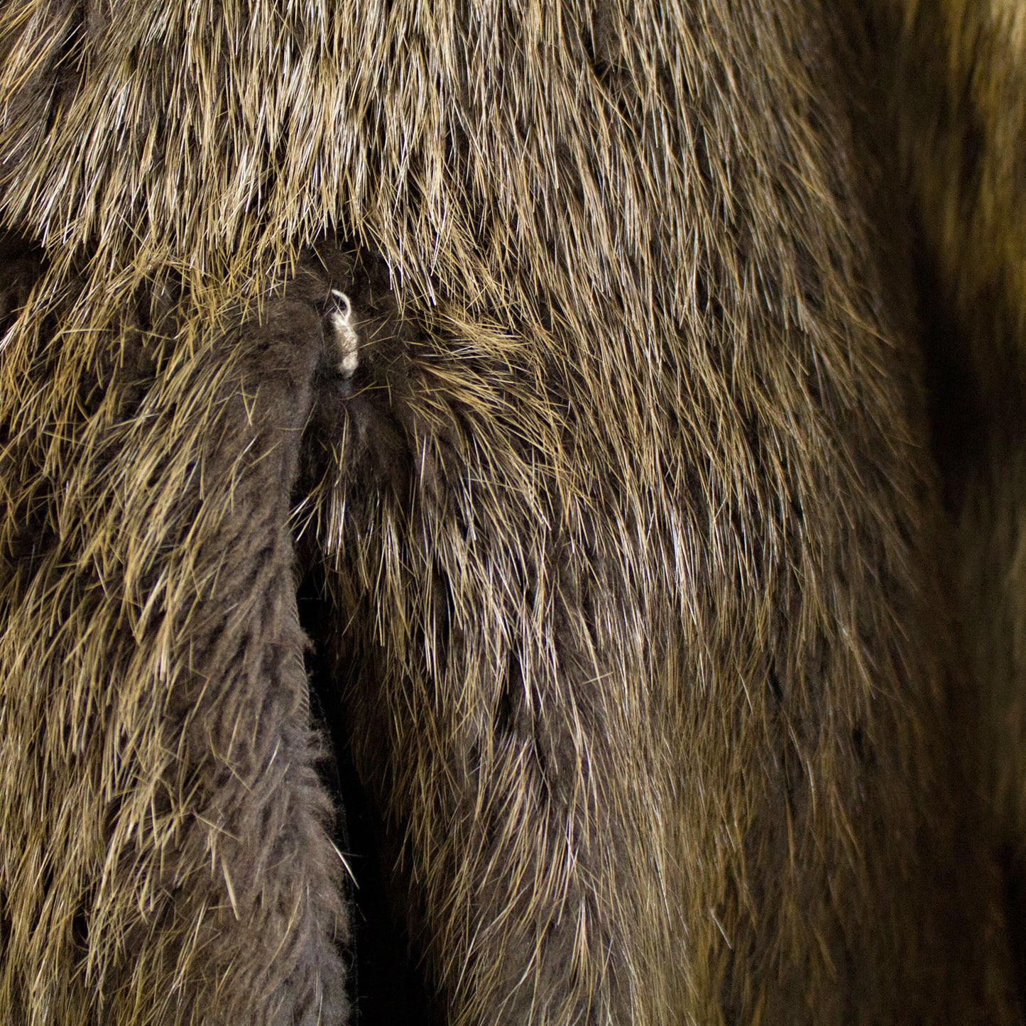 Nutria Coat with Raccoon - Size S