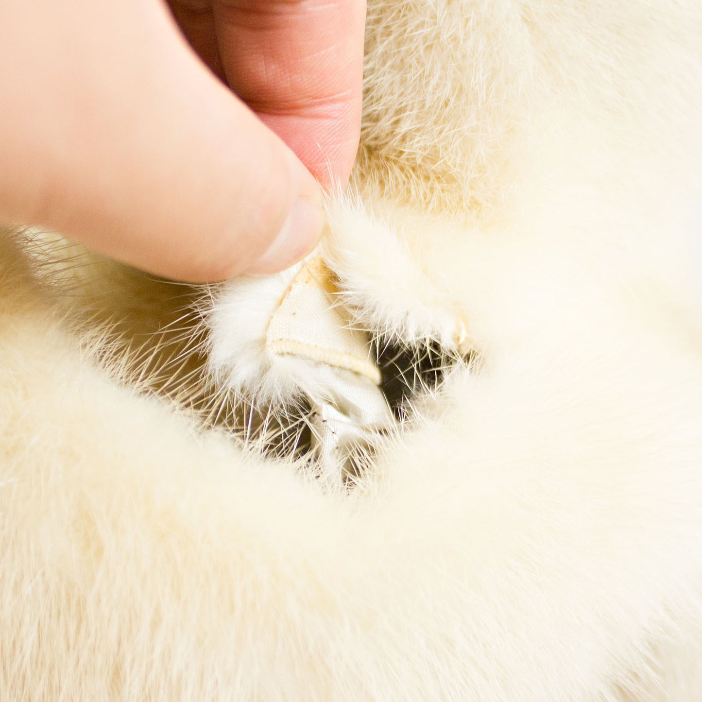 Pearl Mink Jacket- Size M