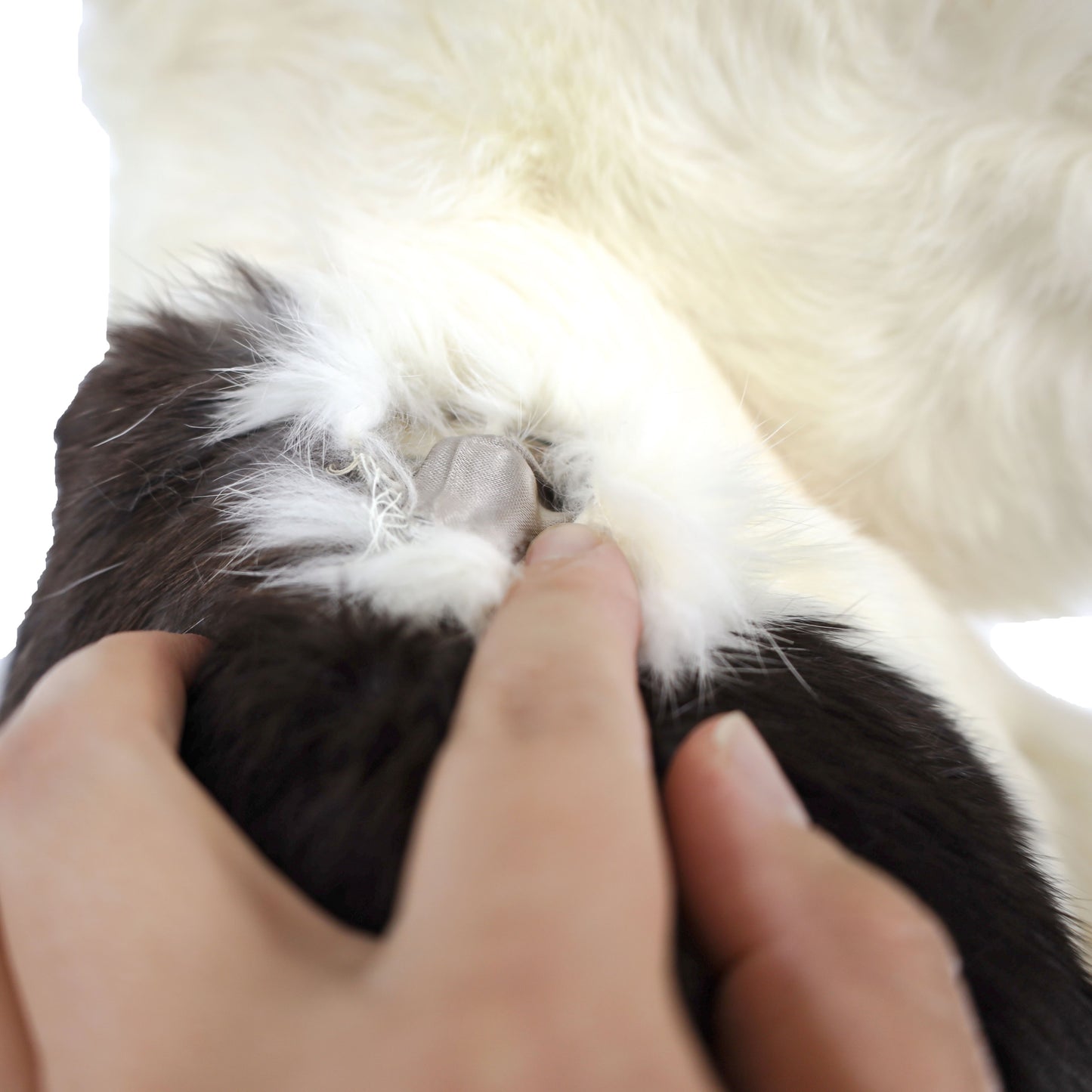 Rabbit Stroller- Size S