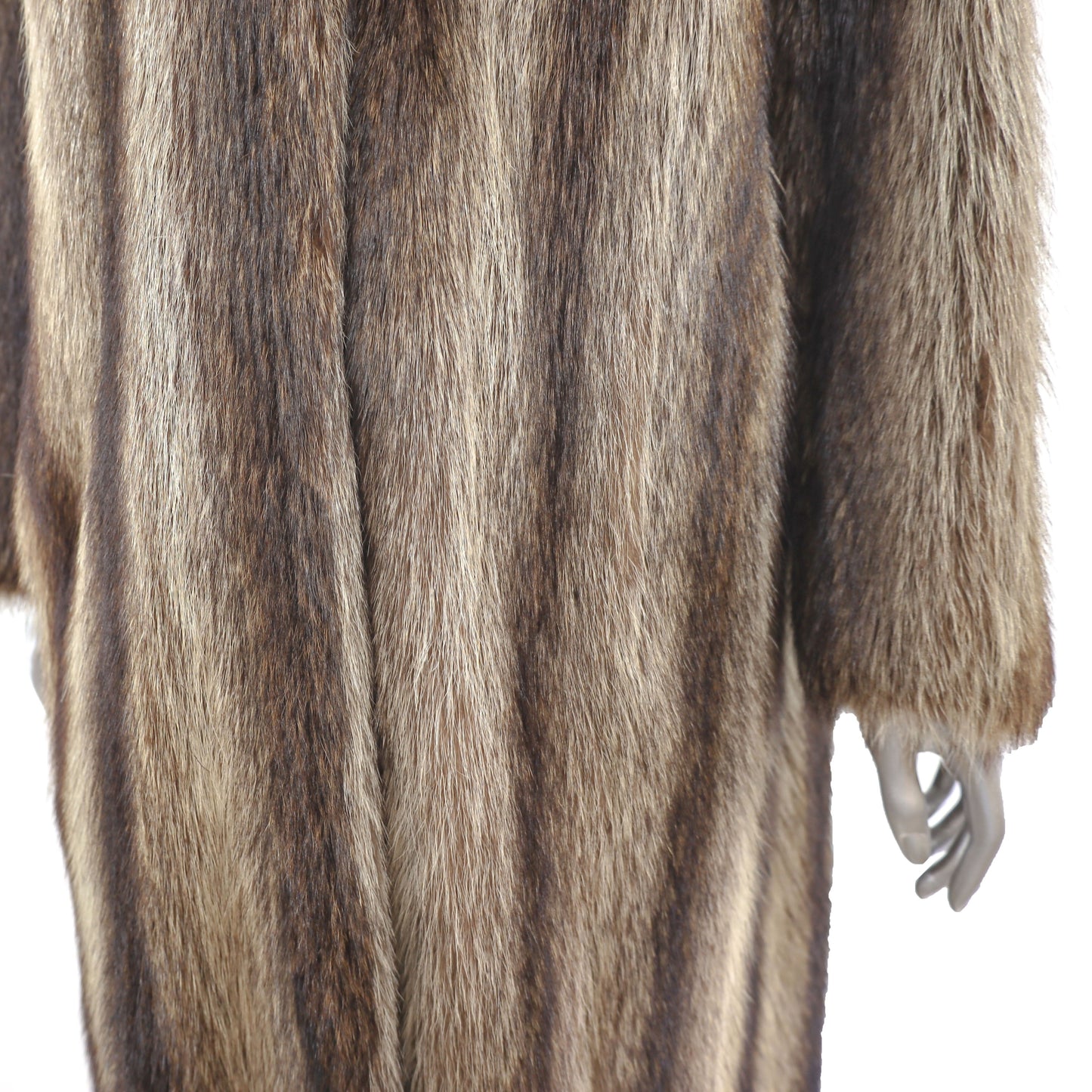 Raccoon Coat- Size M