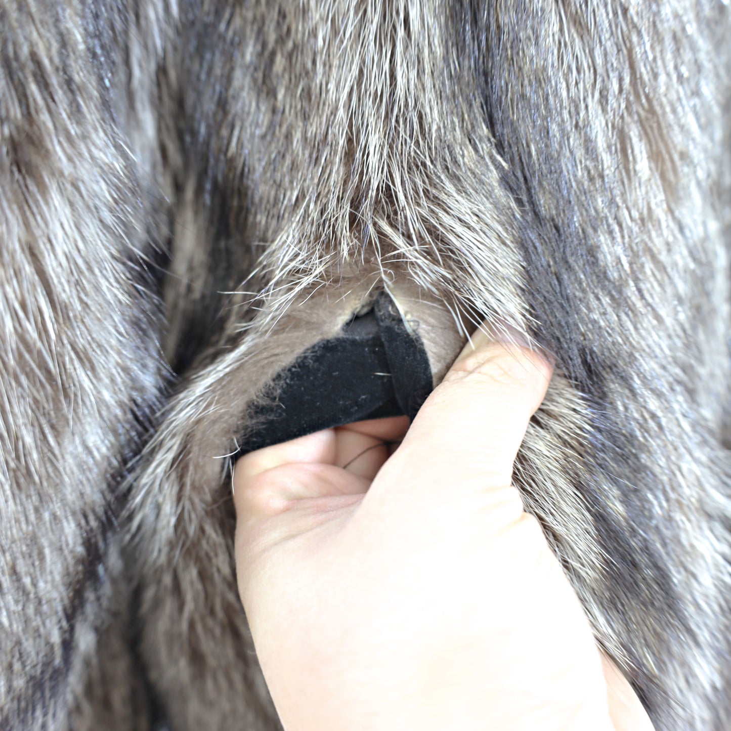 Raccoon Coat- Size S
