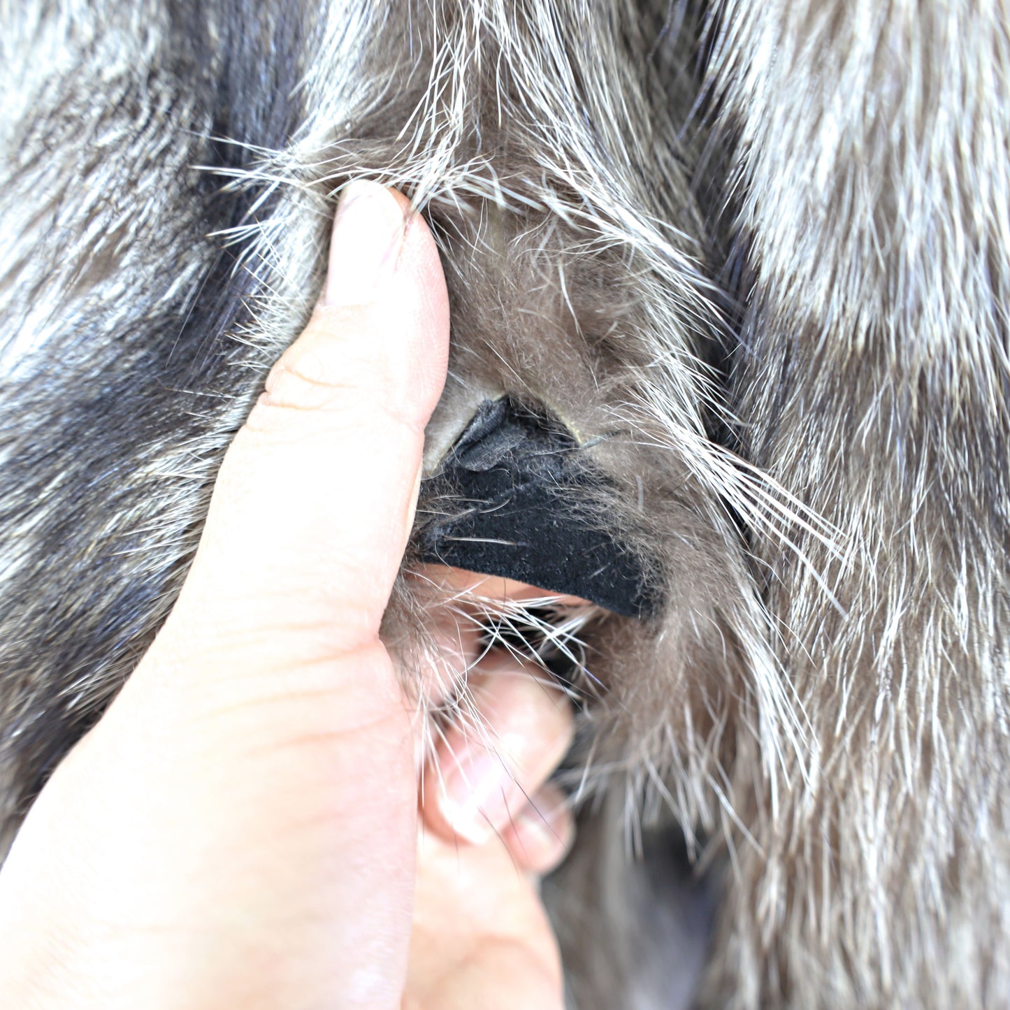Raccoon Coat- Size S