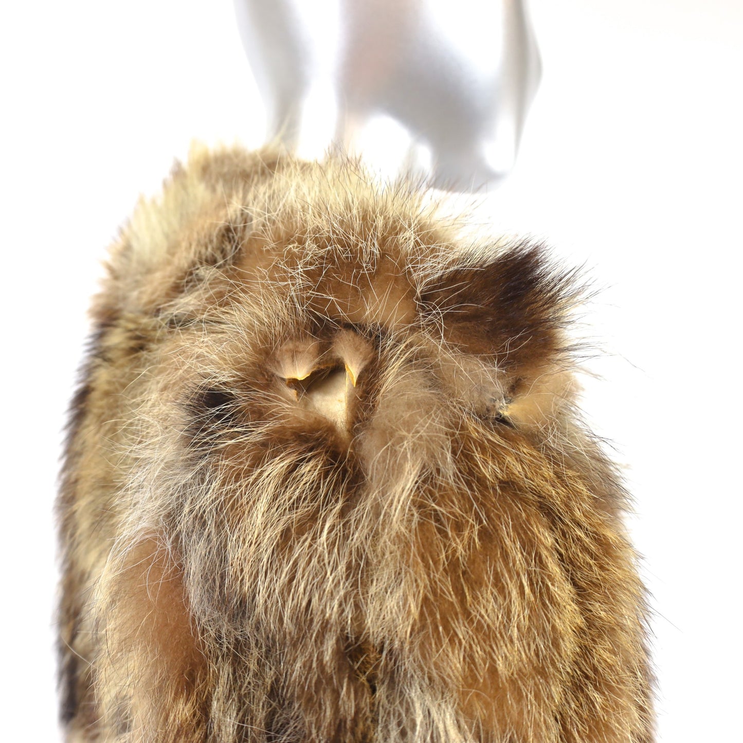 Section Raccoon Jacket with Suede Trim- Size S