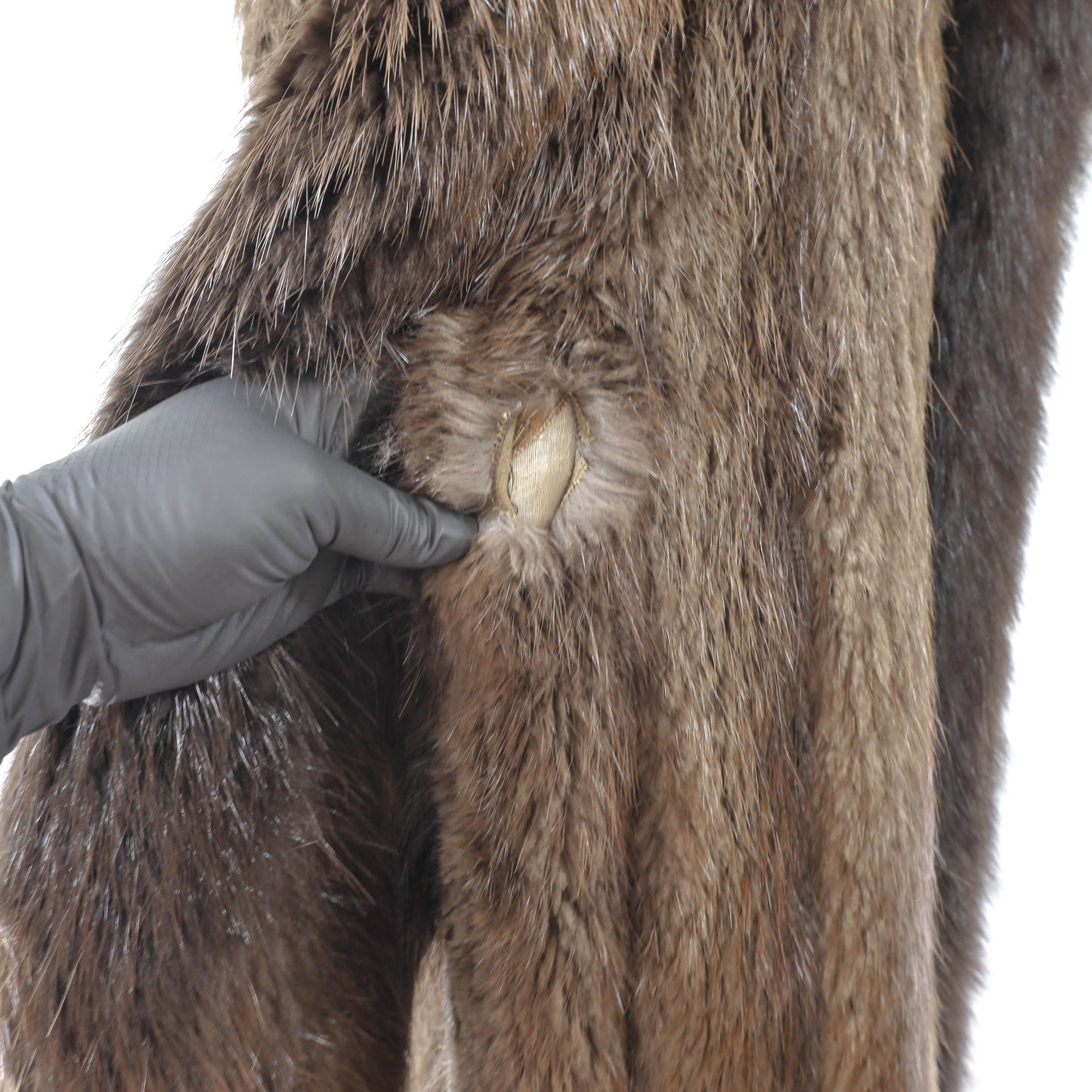 Beaver Coat with Fox Tuxedo- Size XXXL