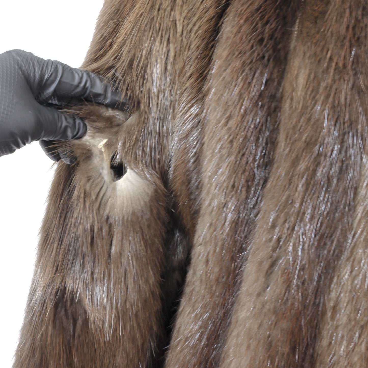 Beaver Coat with Detachable Hood- Size M