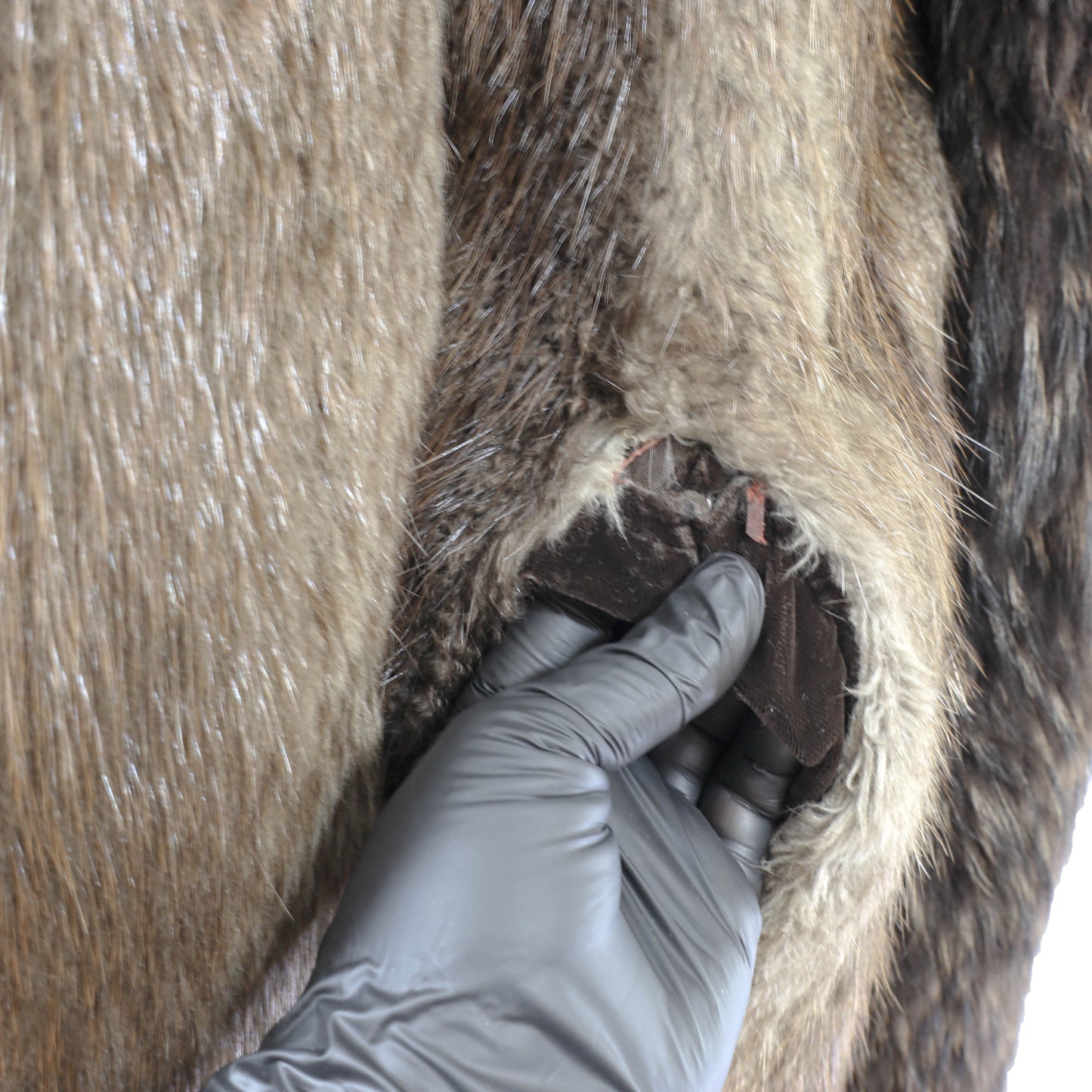 Beaver Coat with Fox Tuxedo- Size M