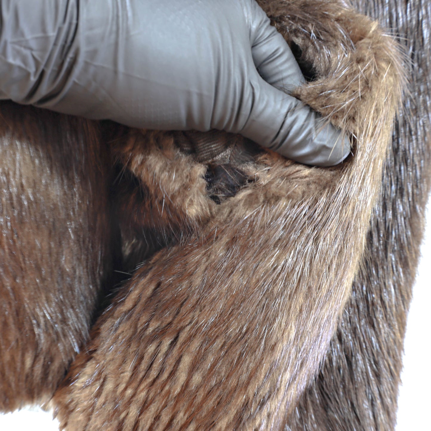 Beaver Jacket- Size S