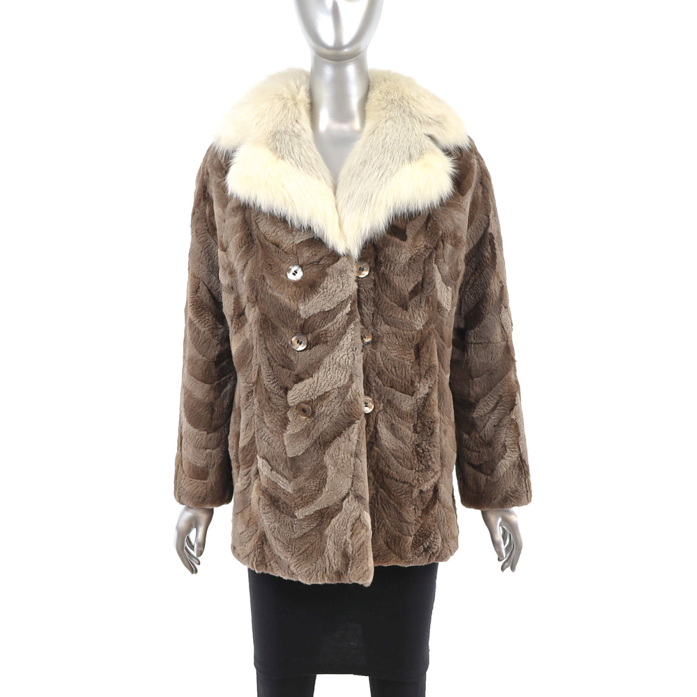 Sheared Section Beaver Jacket with Fox Collar- Size M