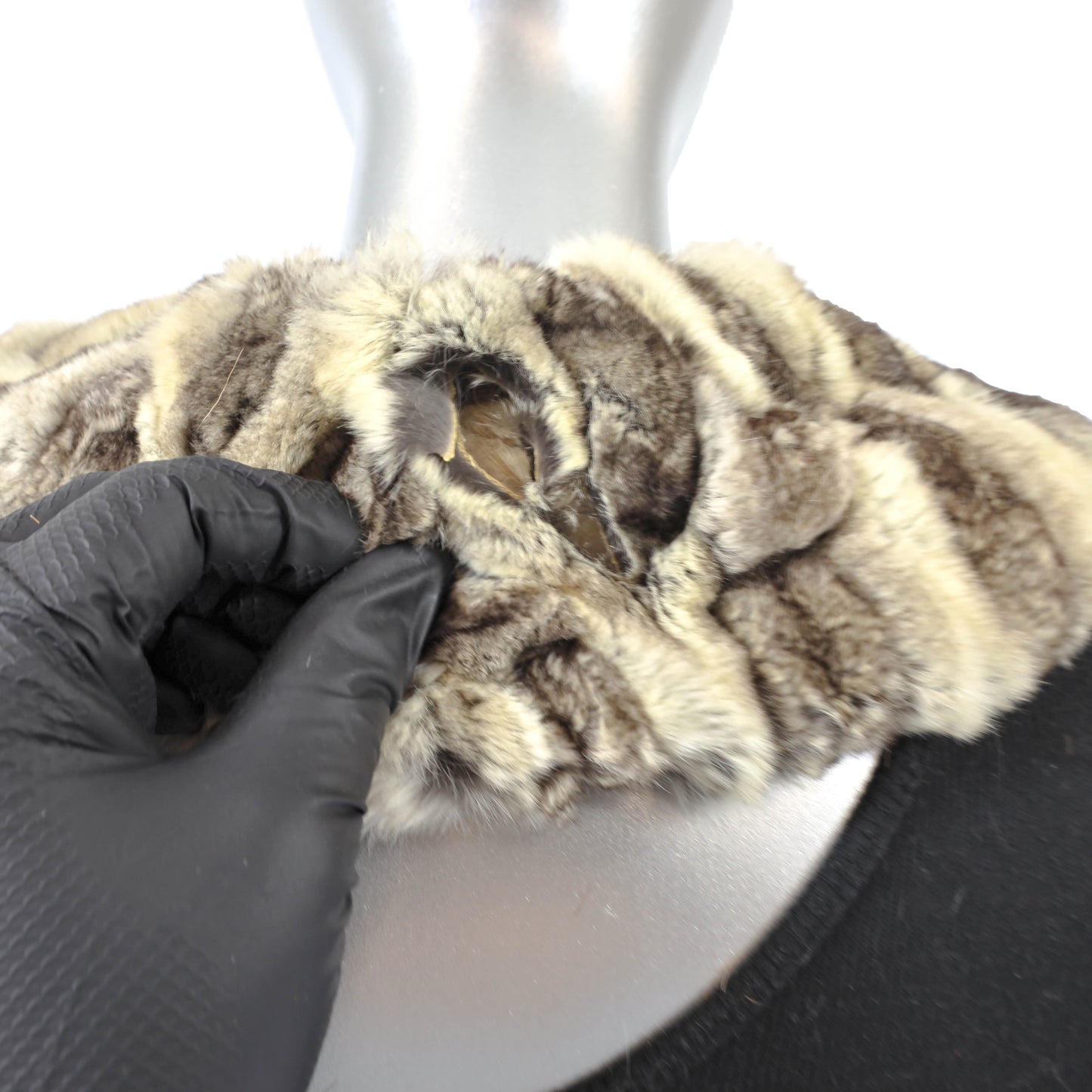 Chinchilla Collar- Size Free