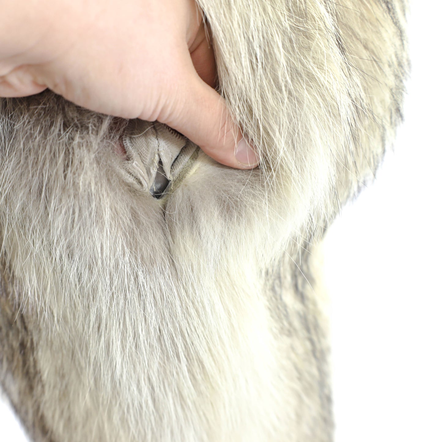 Coyote Coat- Size S