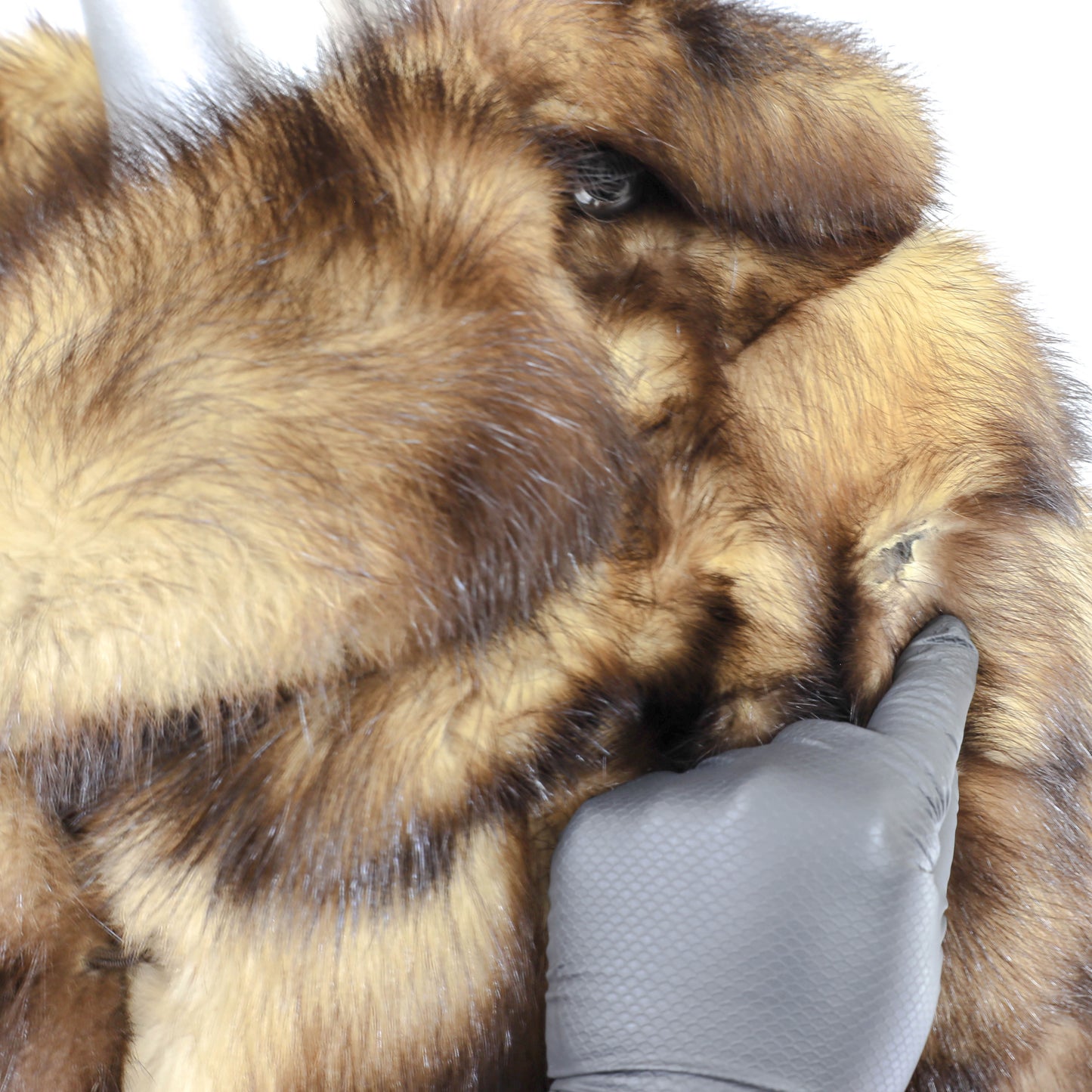 Fitch Coat- Size S