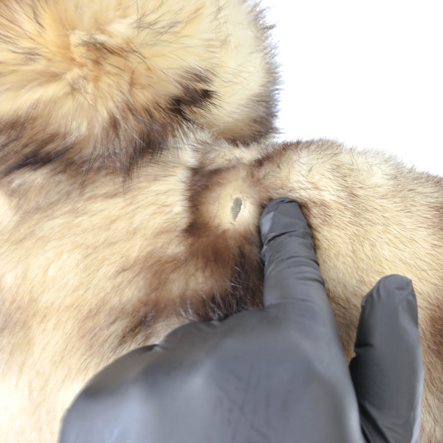 Fitch Stroller- Size L