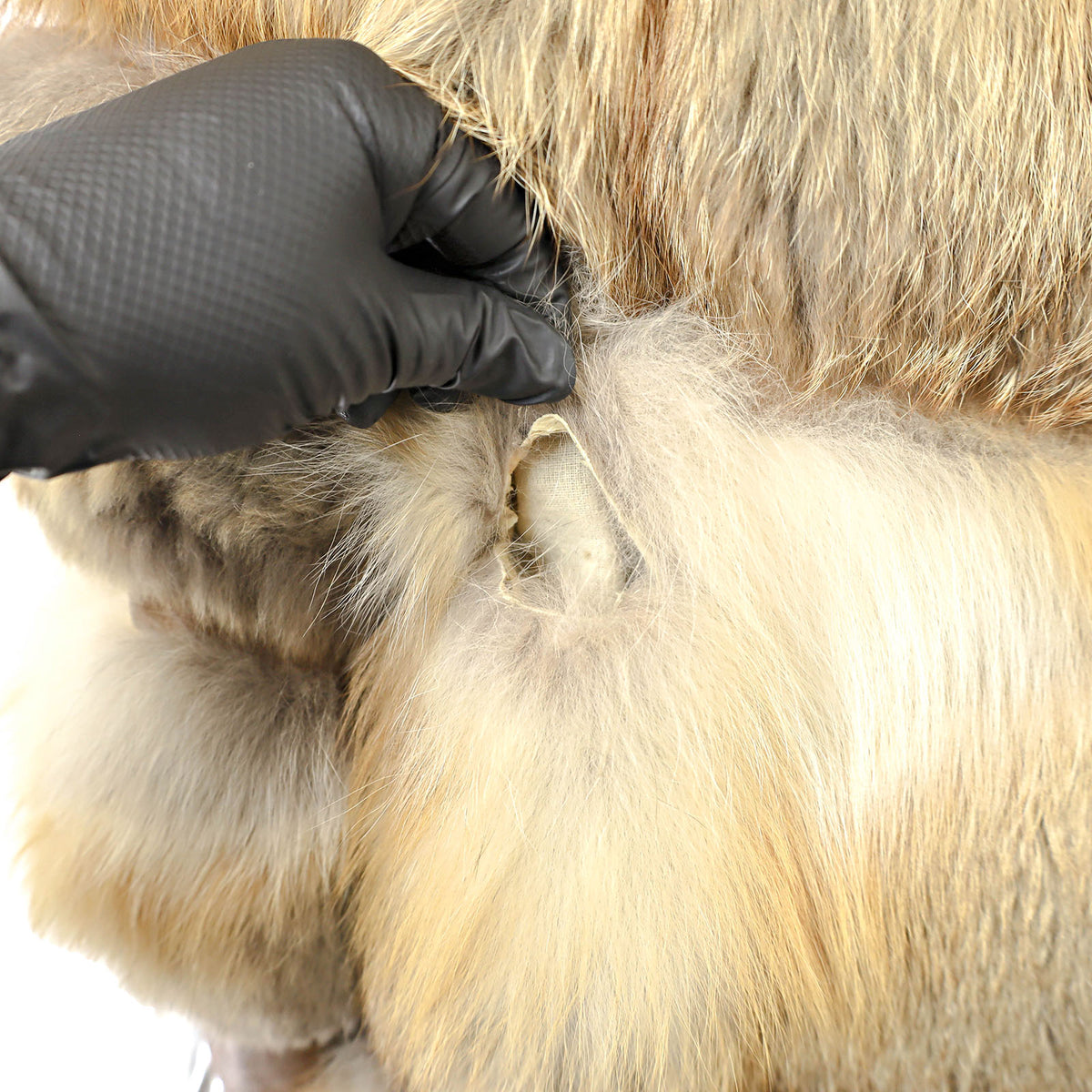 Red Fox Jacket- Size M
