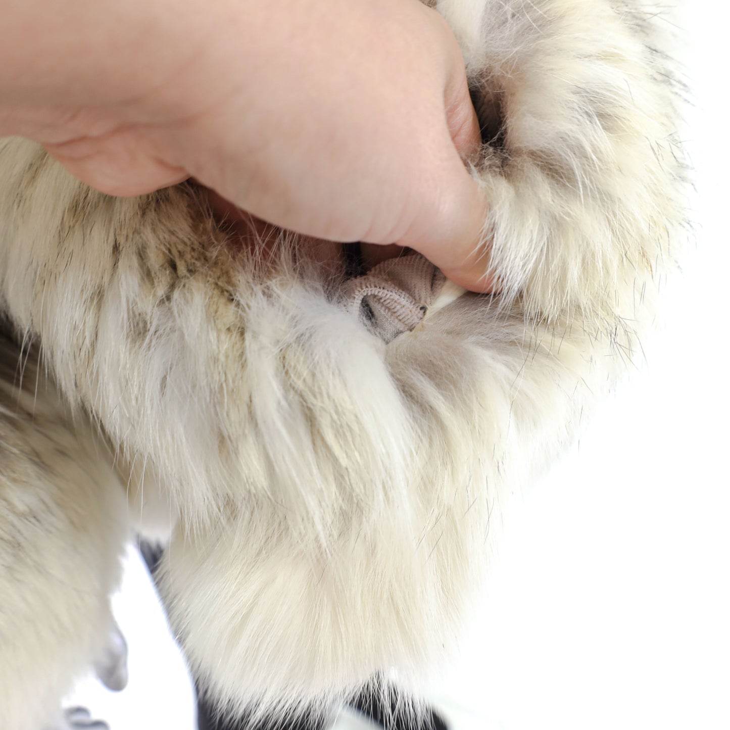 Fox Jacket- Size S