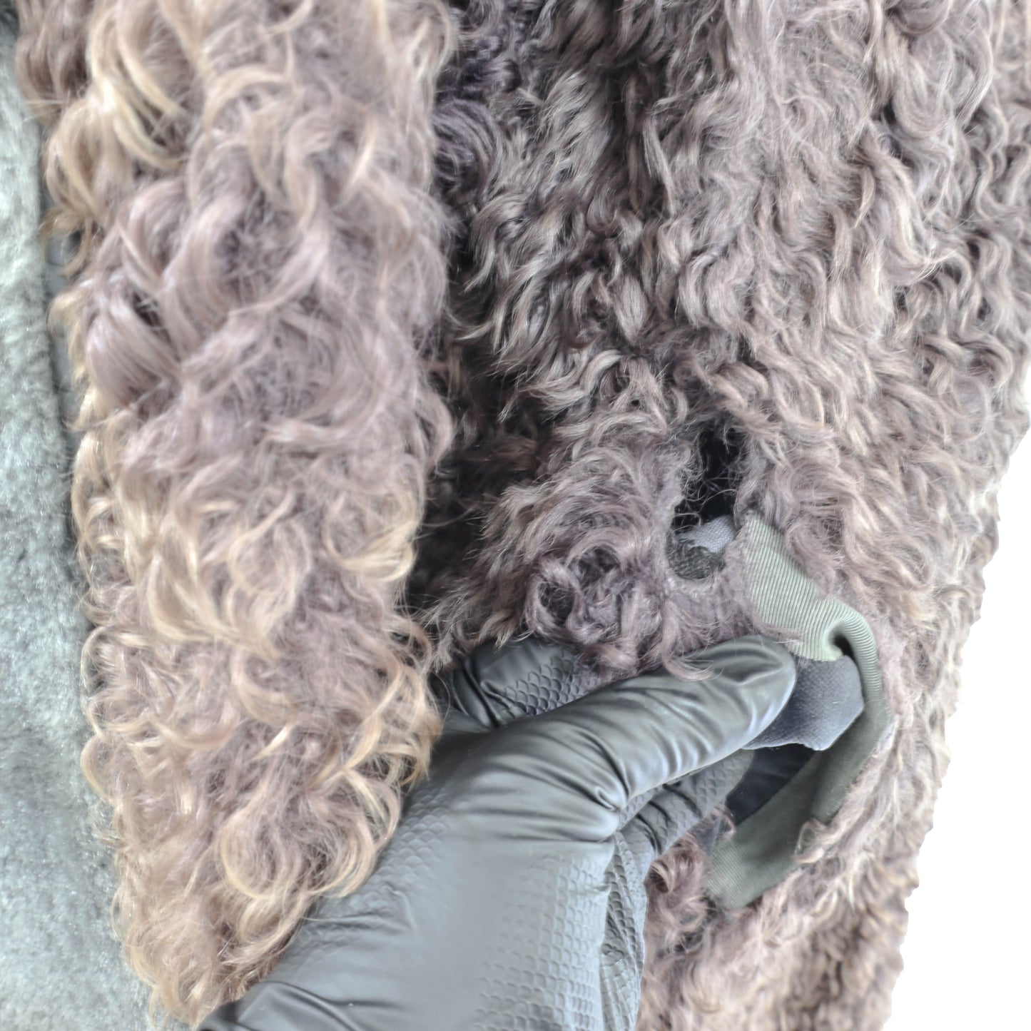 Lamb Coat with Matching Collar and Earmuffs- Size L