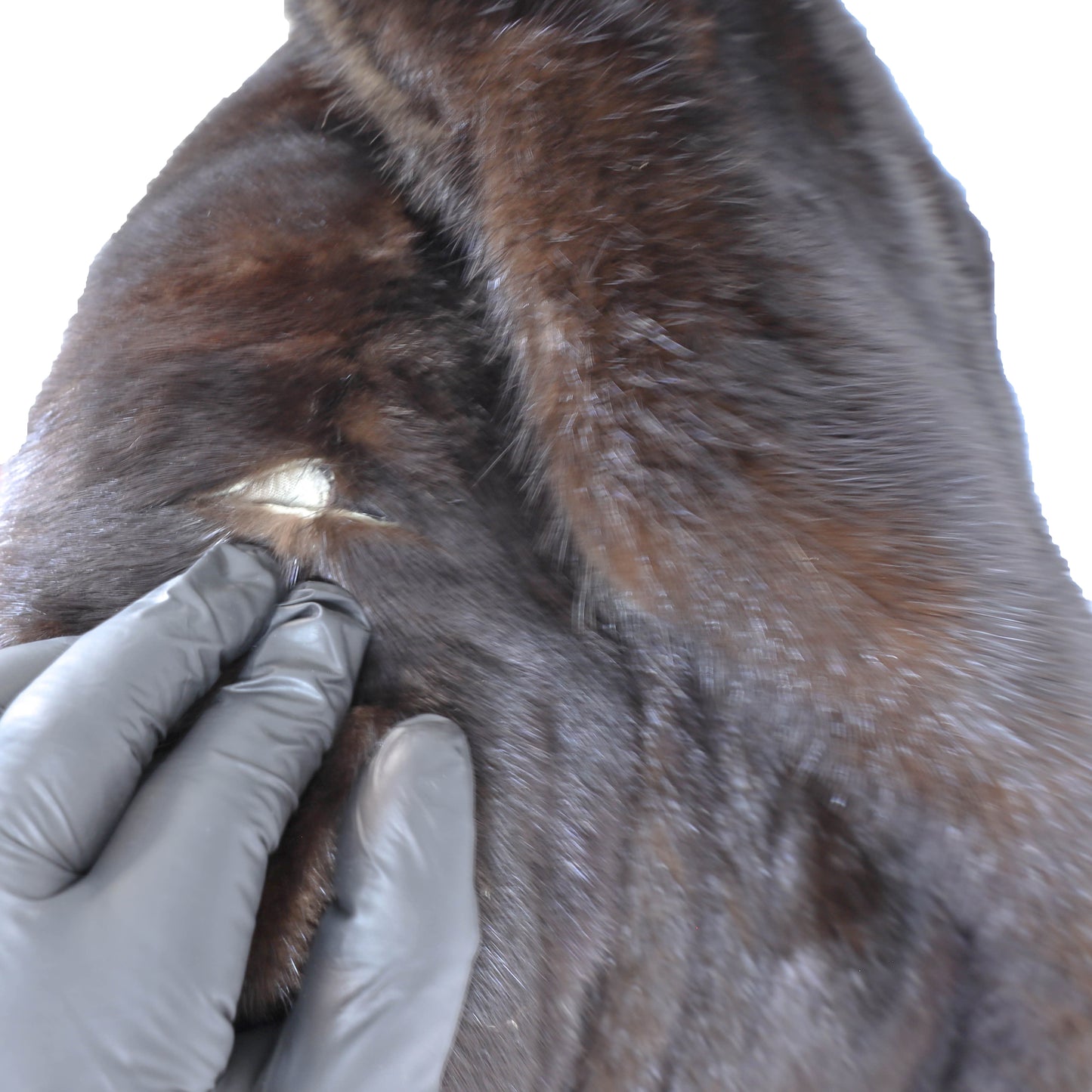 Dark Brown Mink Coat- Size XL