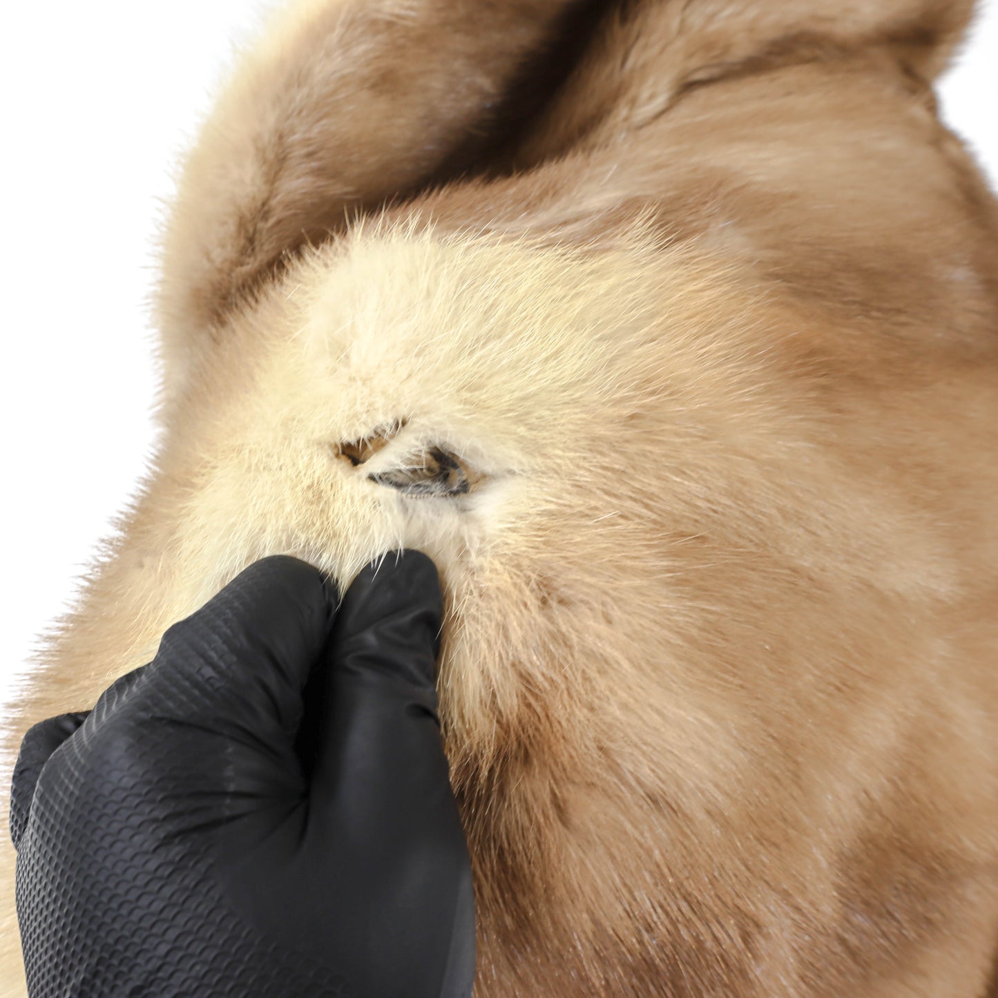 Pastel Mink Stole- Size Free