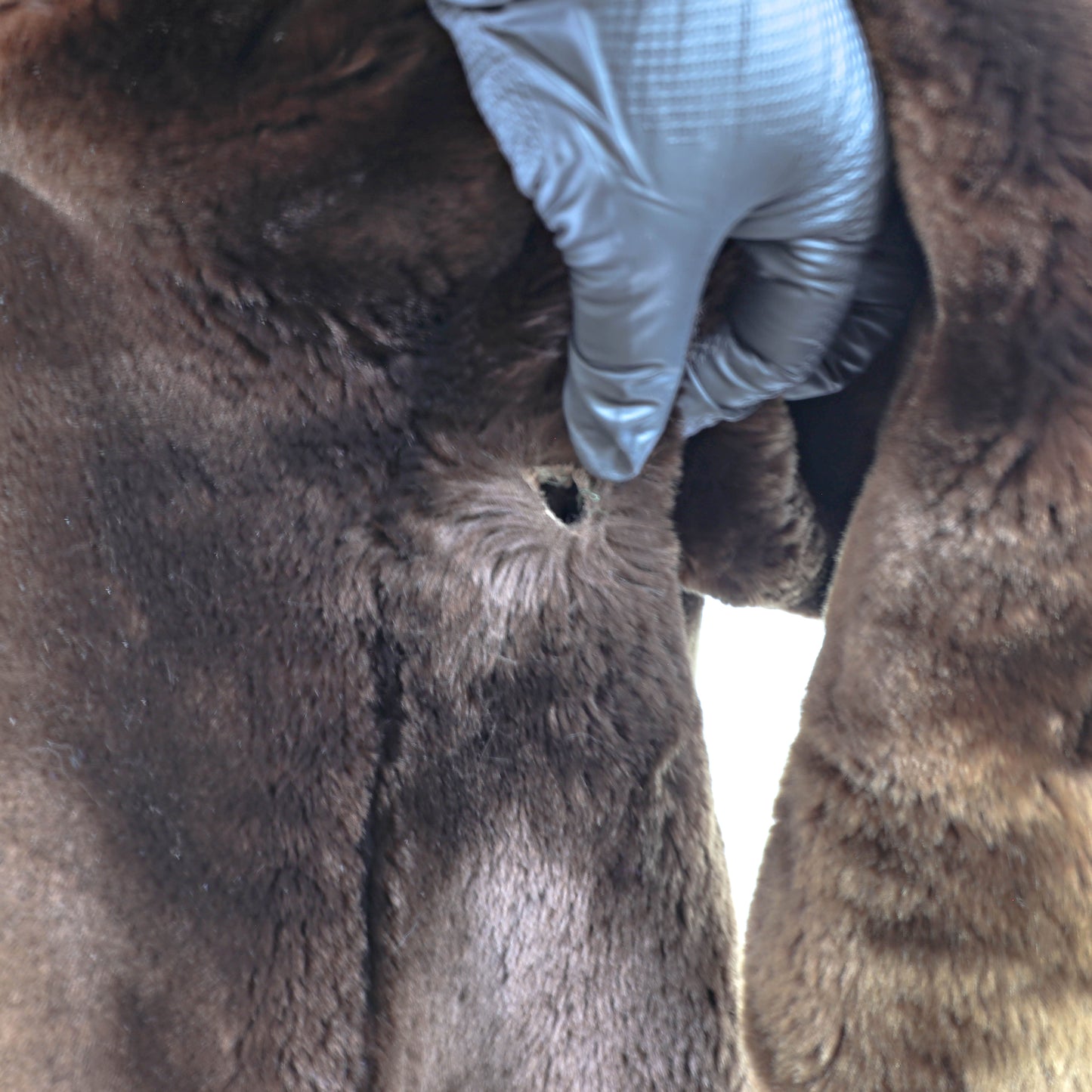 Brown Mouton Coat- Size L