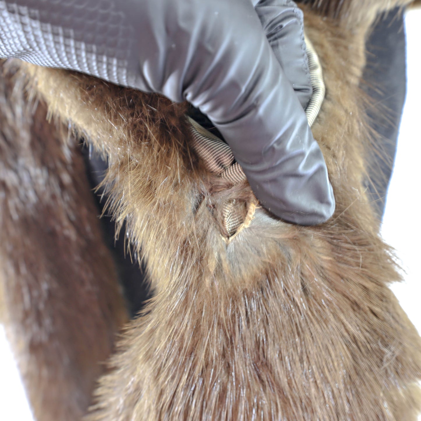 Brown Muskrat Stole- Size Free