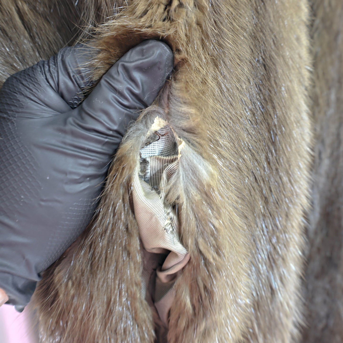 Brown Muskrat Stole- Size Free