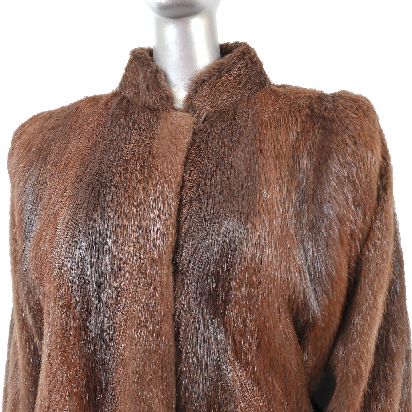 Nutria Jacket- Size XL