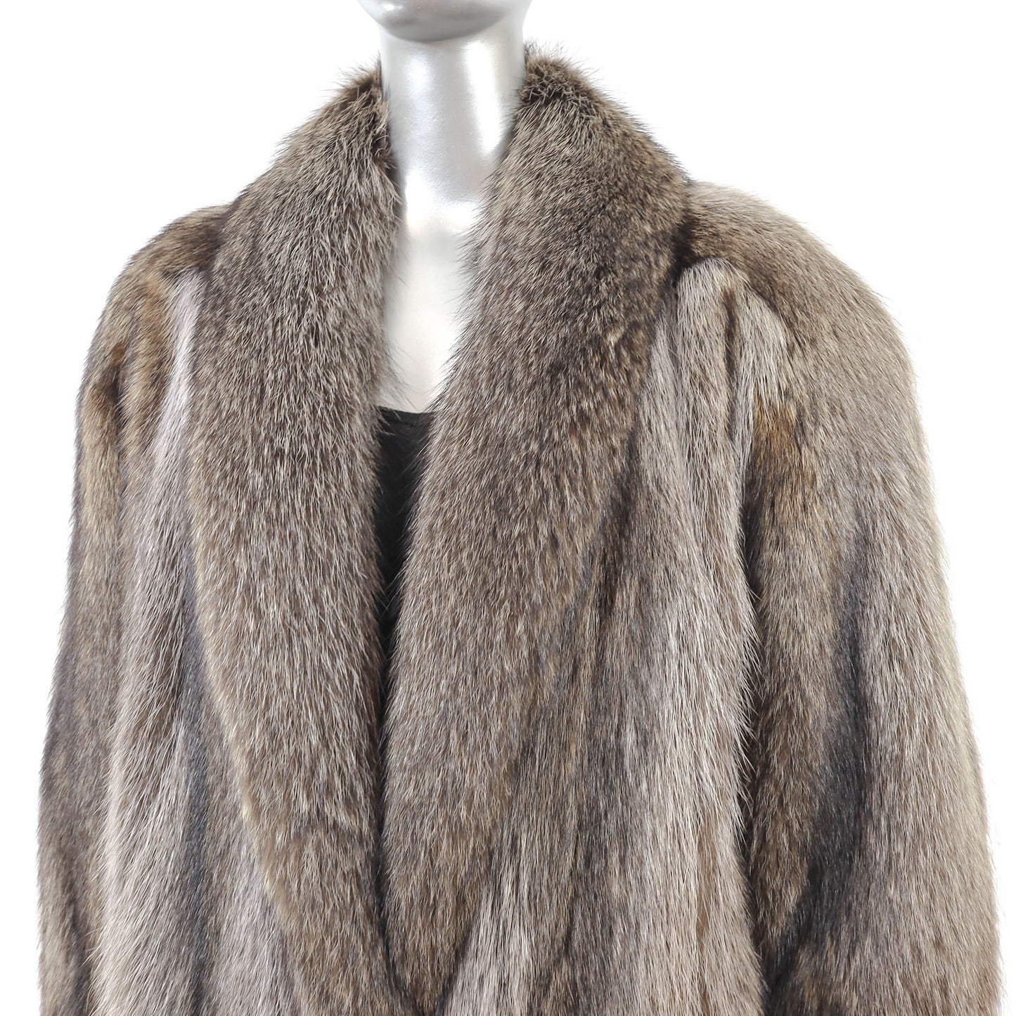 Evans Raccoon Coat- Size XL
