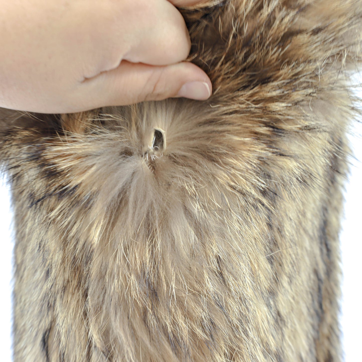 Raccoon Coat- Size XL