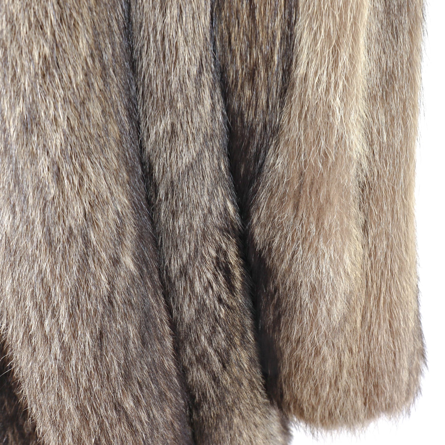 Raccoon Jacket- Size XL