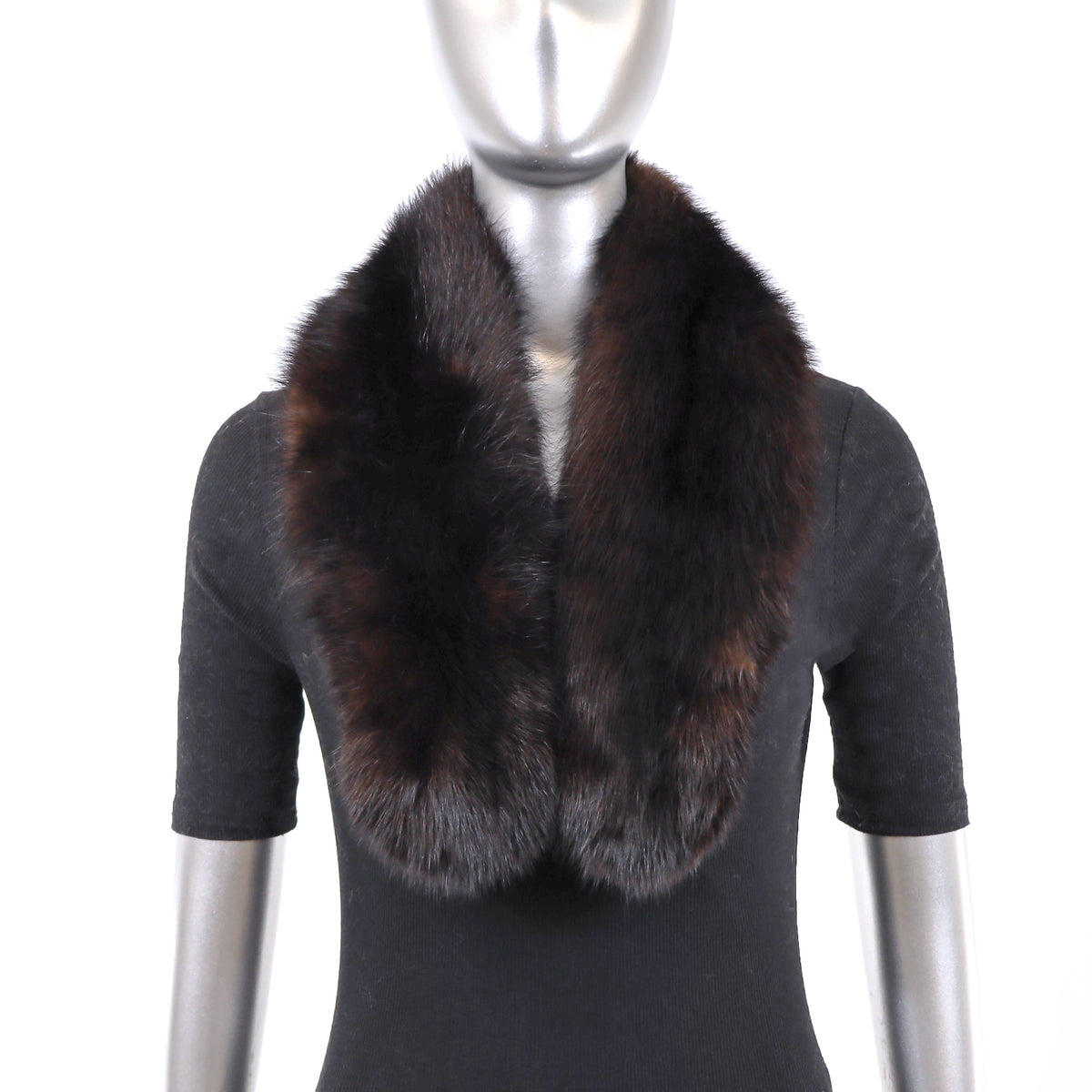 Sable Collar- Size Free