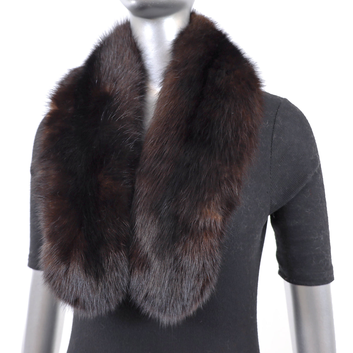 Sable Collar- Size Free
