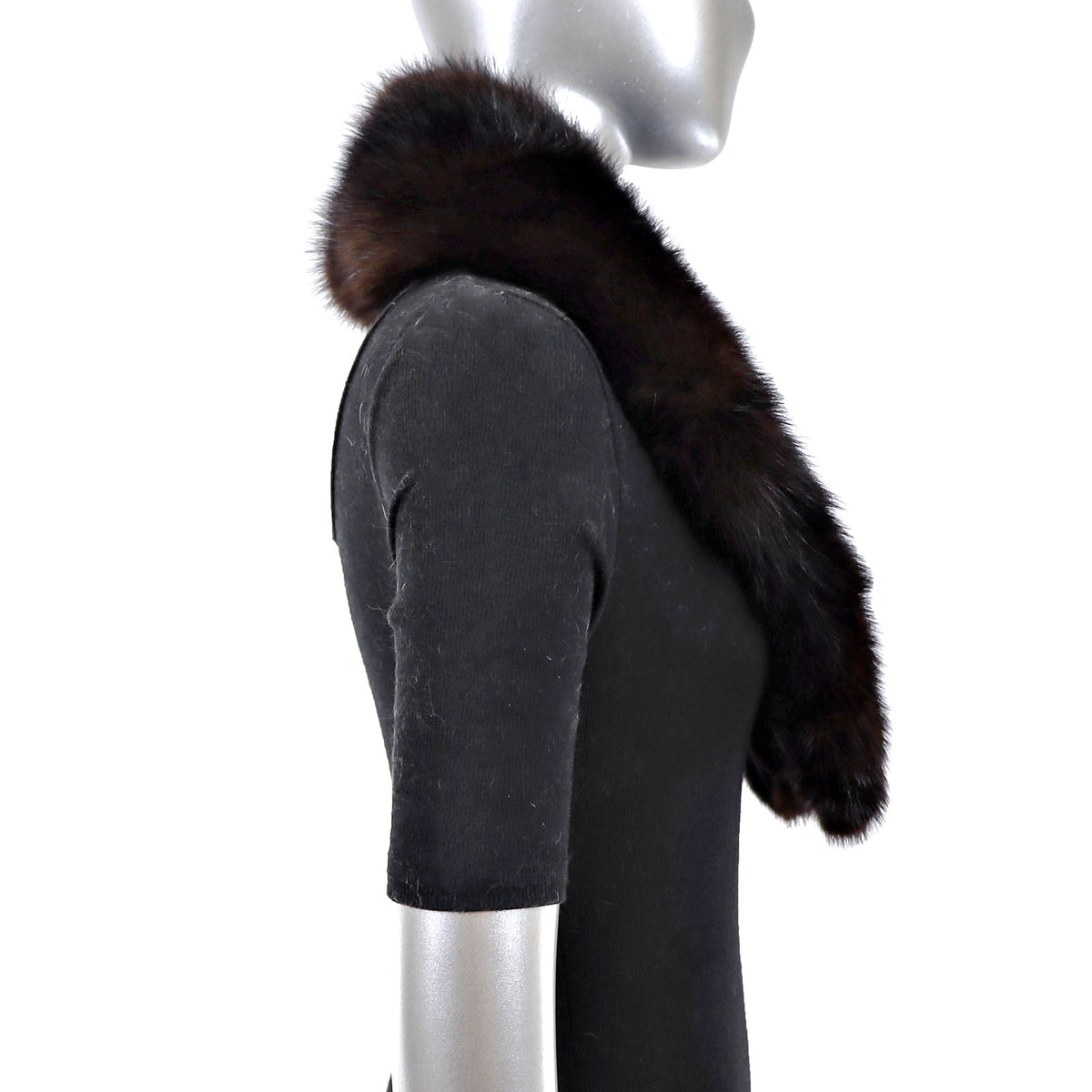 Sable Collar- Size Free